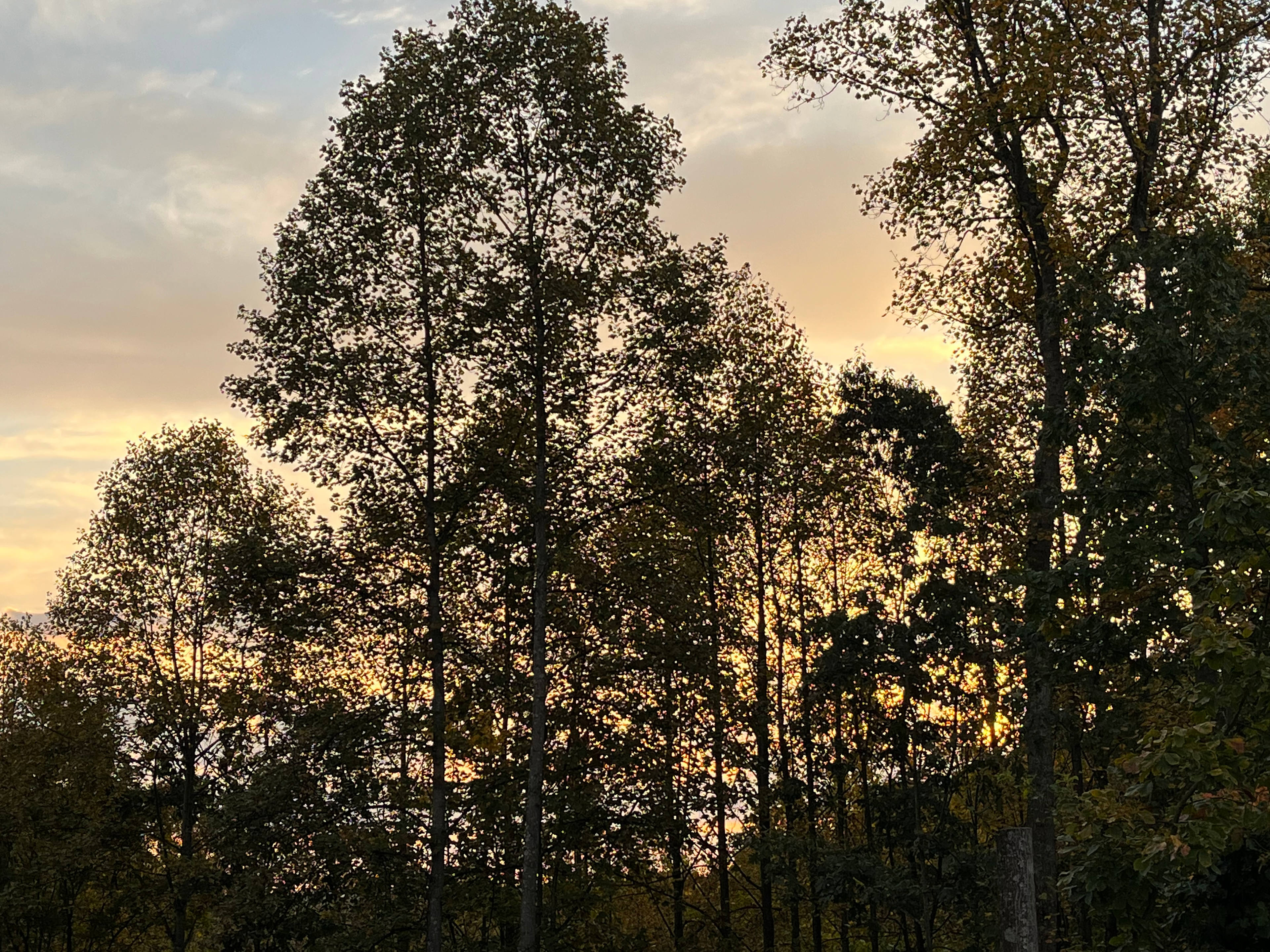 Higher Ground Campsites