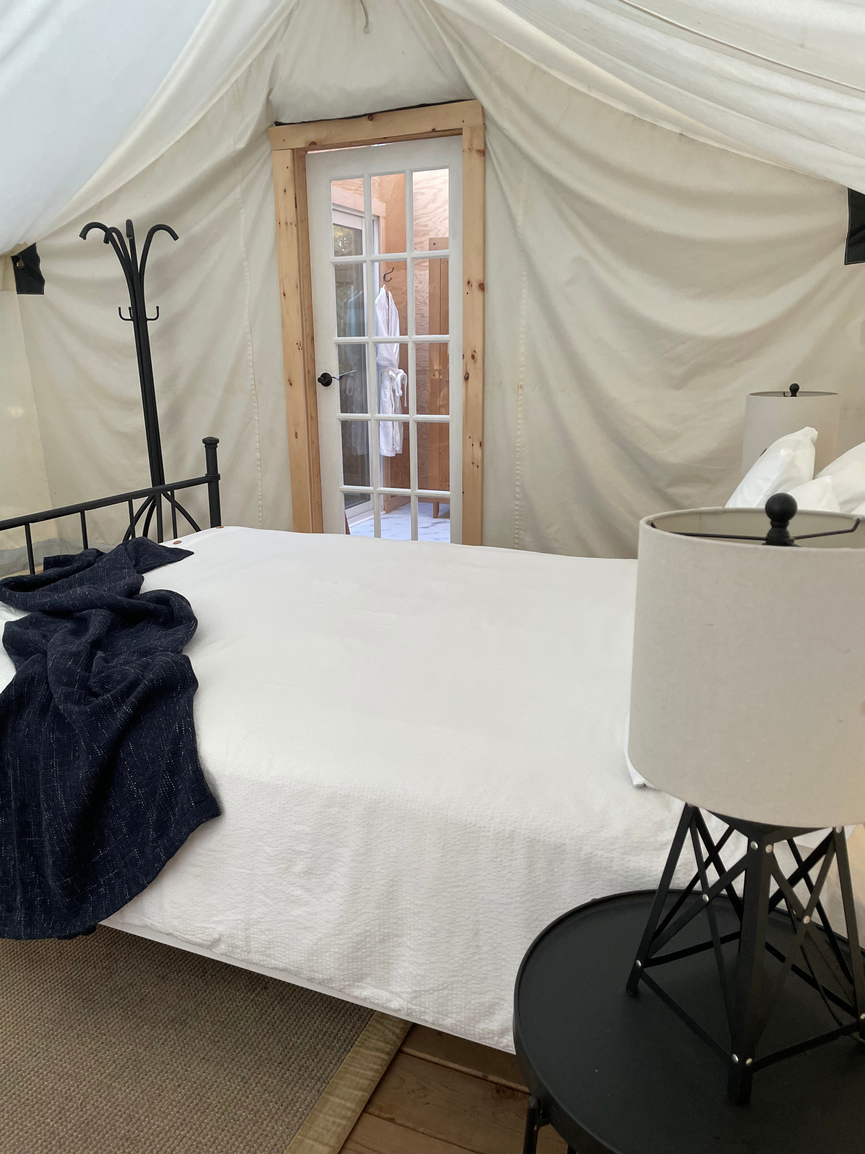 Old-Growth Maple Forest