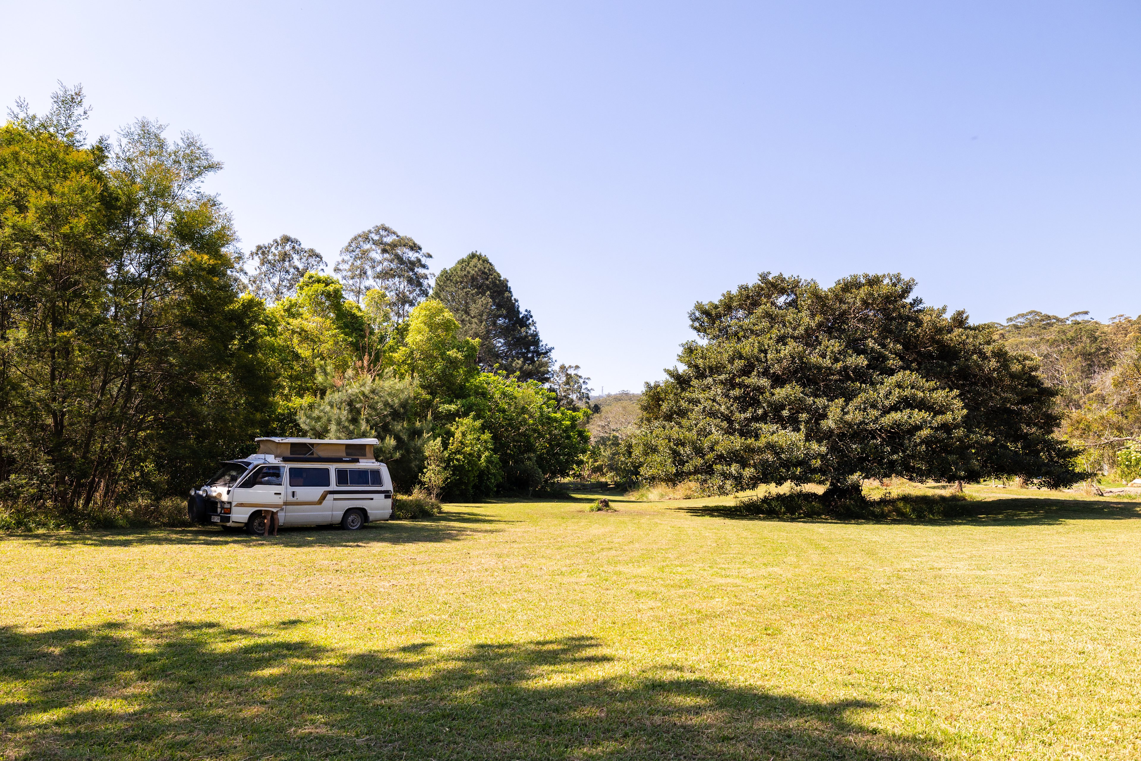 Many shady spots.