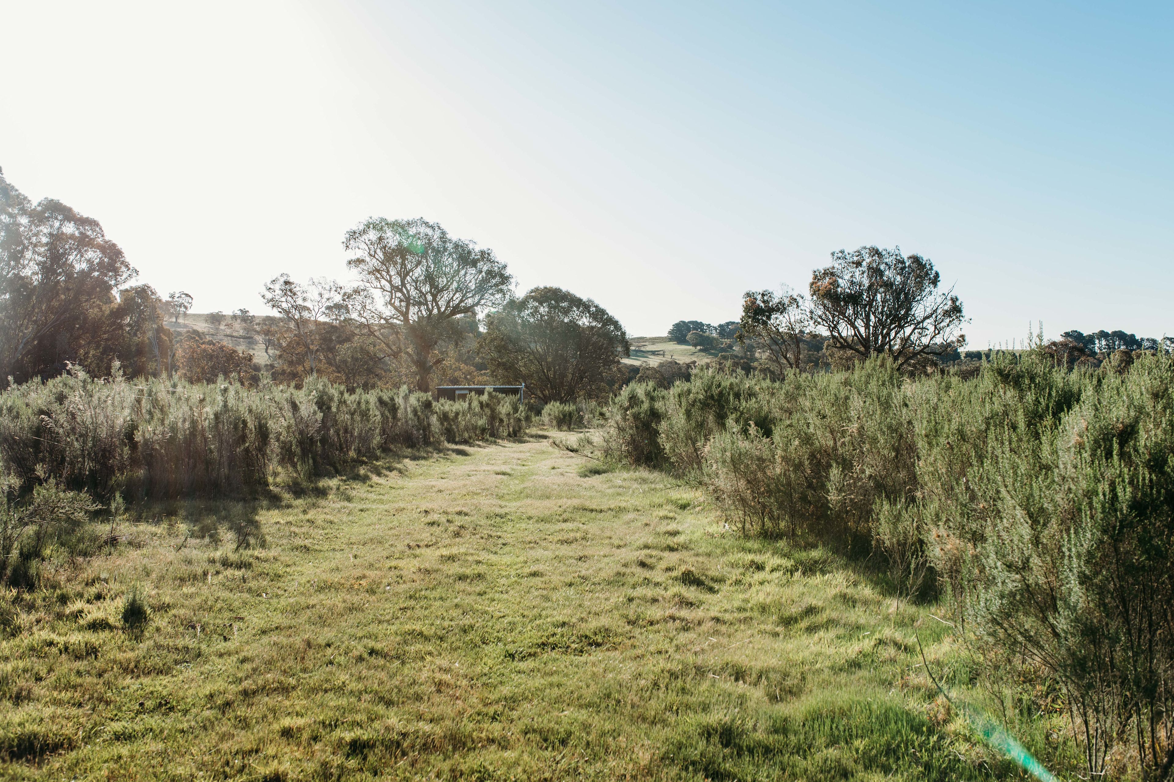 Available land to choose to set up your campsite