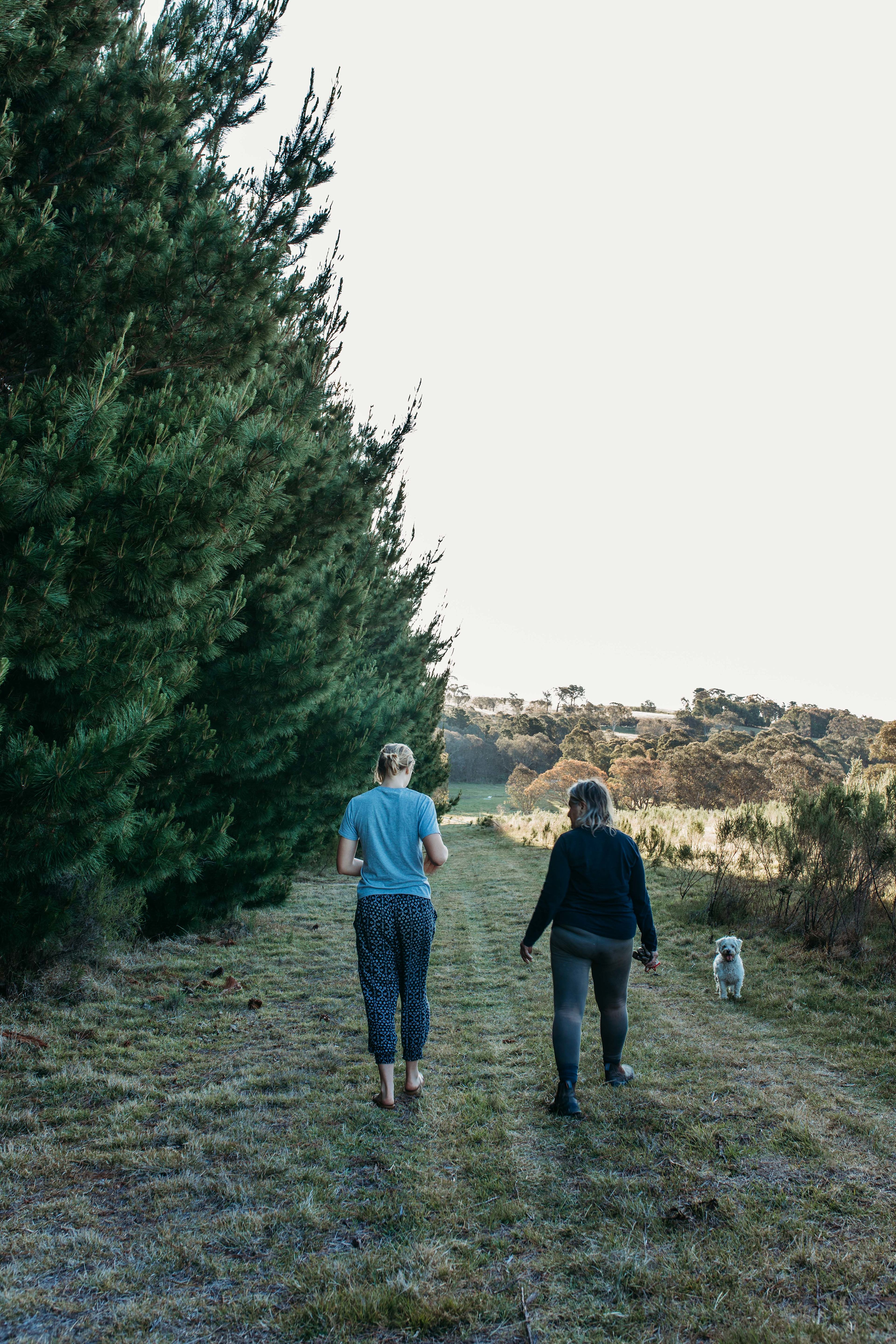 Available land to choose to set up your campsite