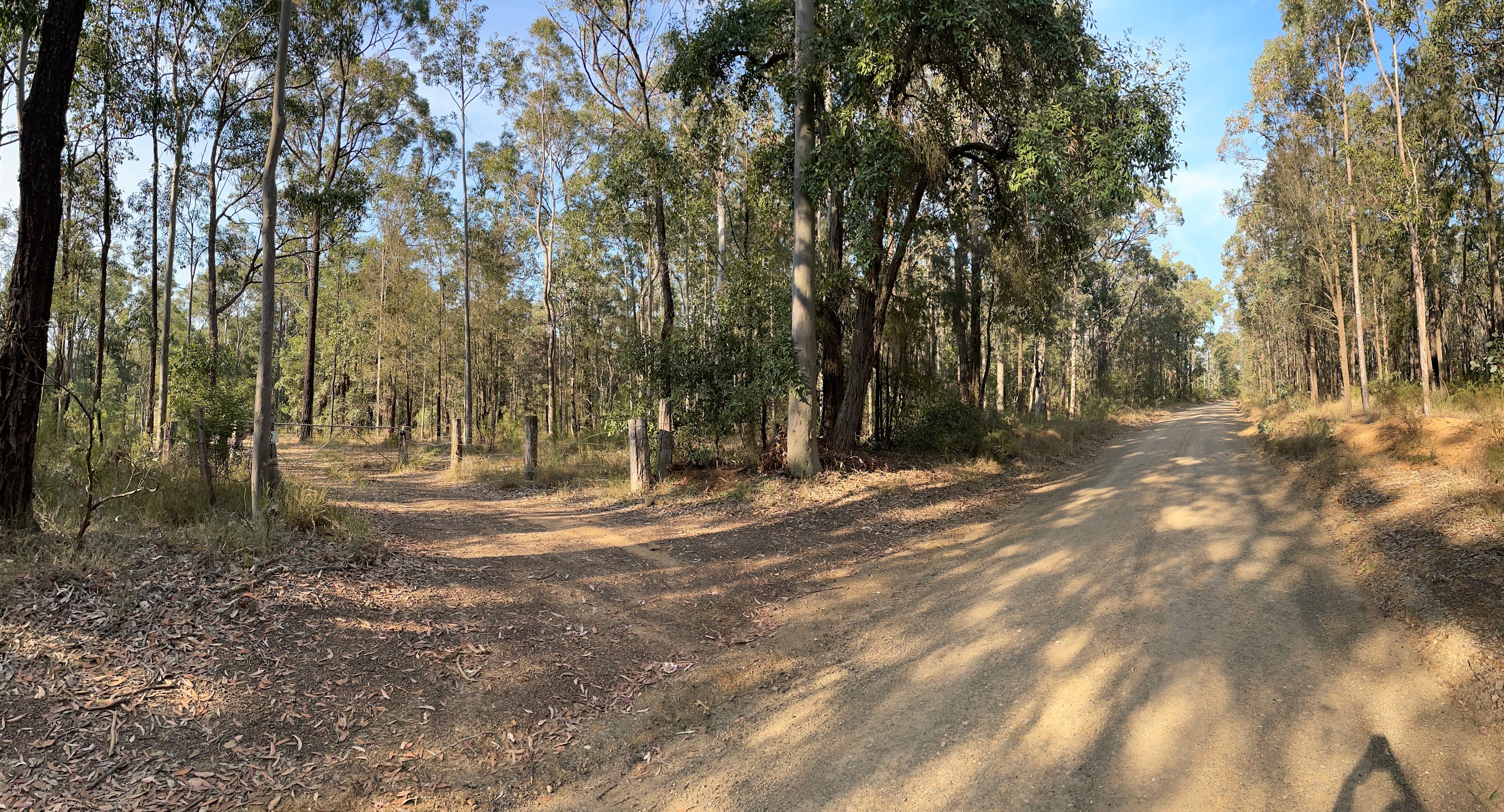 A taste of bush camping