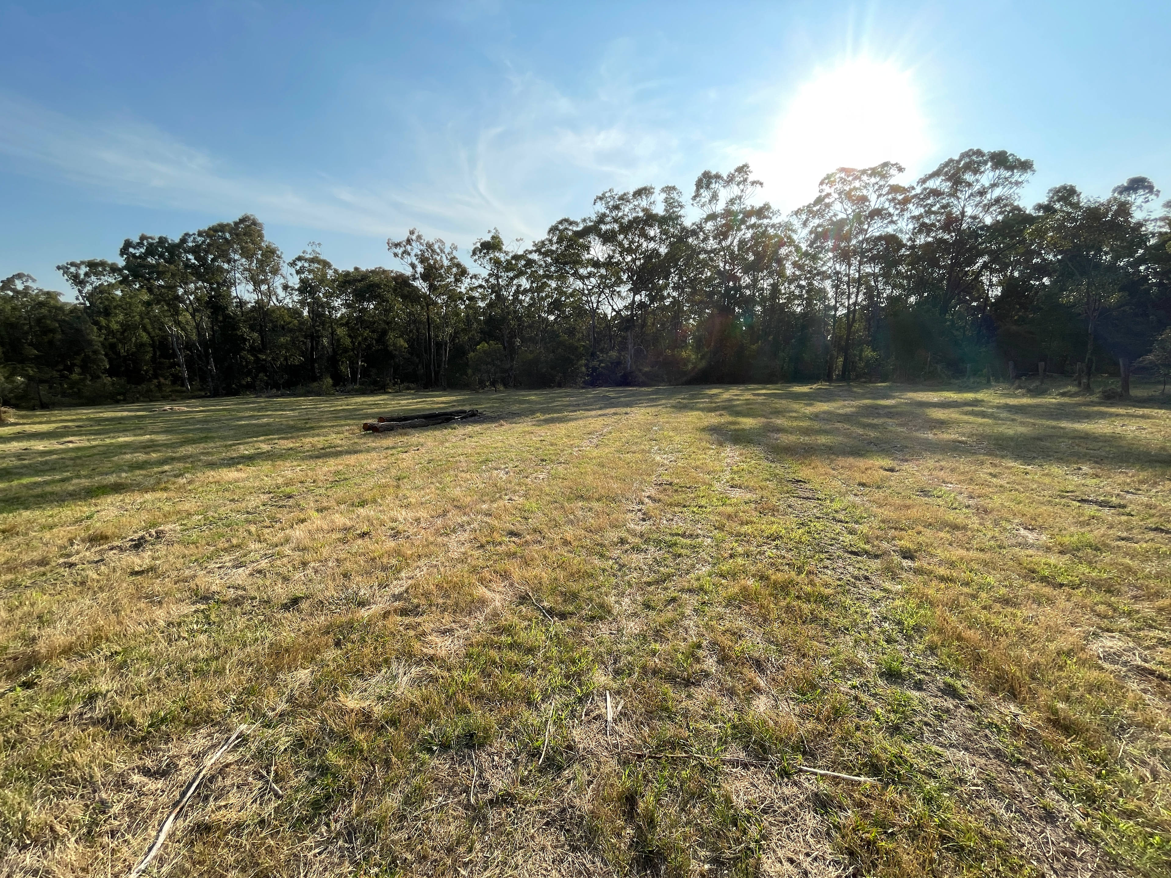A taste of bush camping