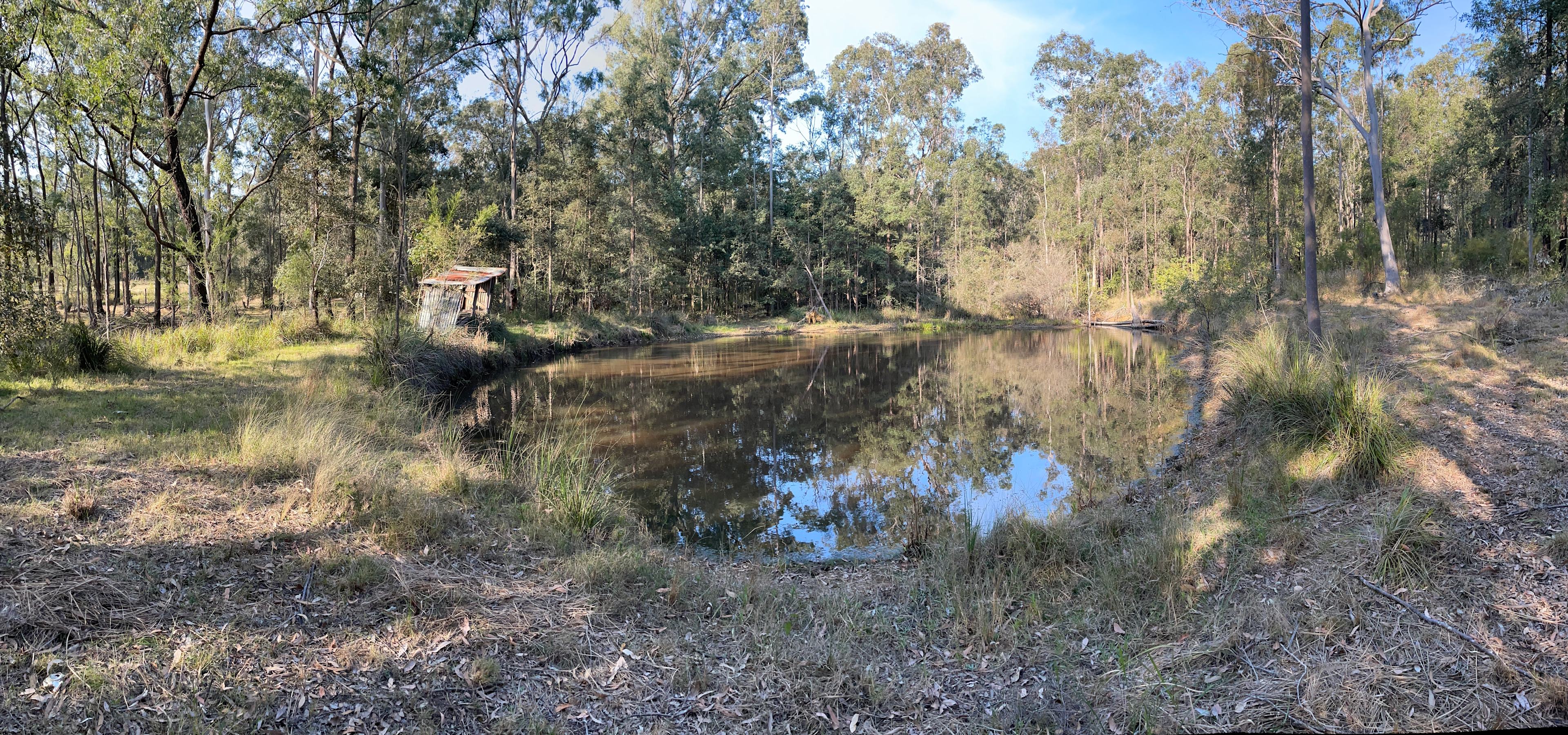 A taste of bush camping