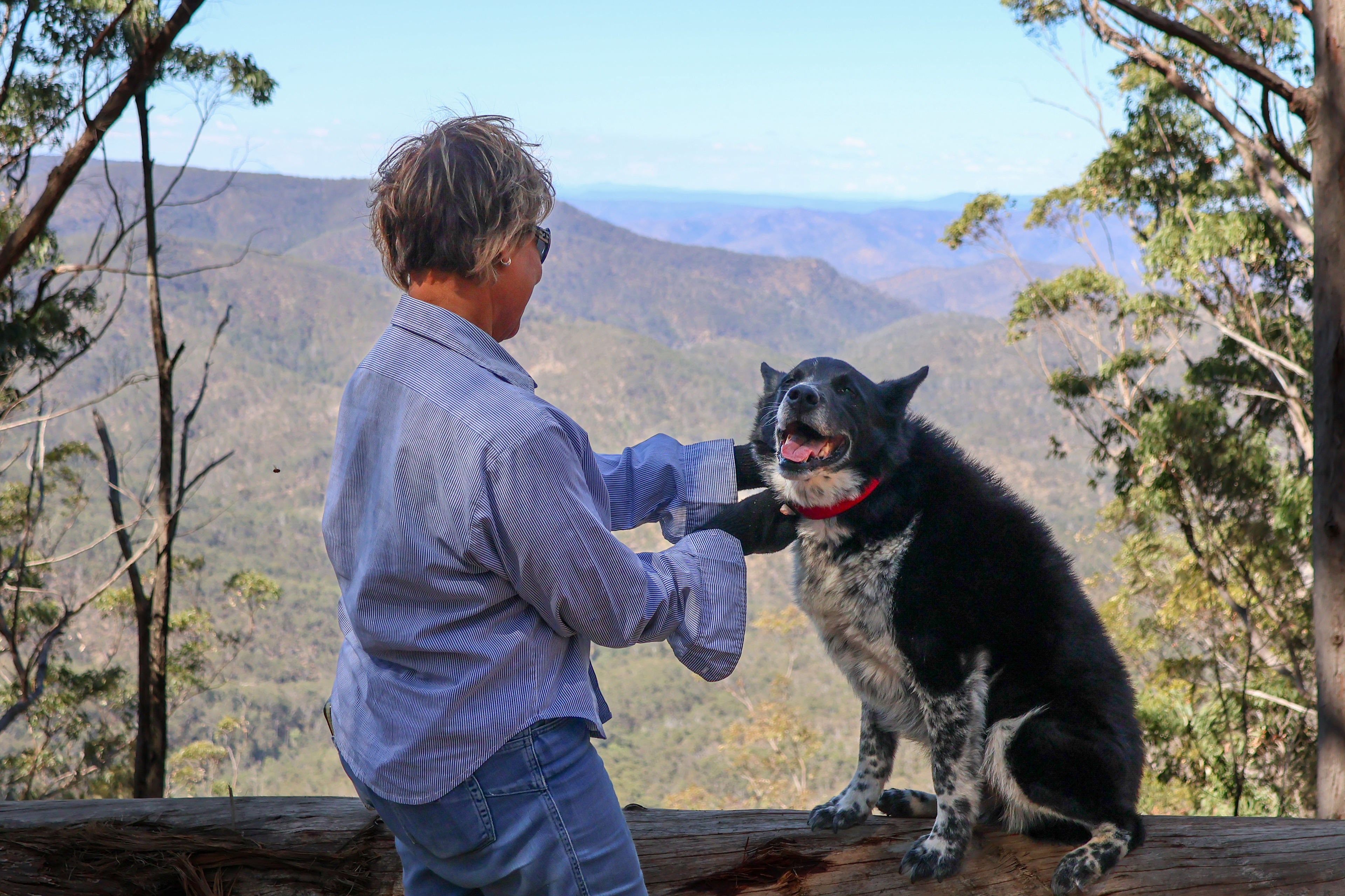 @the.galapagos.life - Rory's lookout with land host Liz and her gorgeous dog 