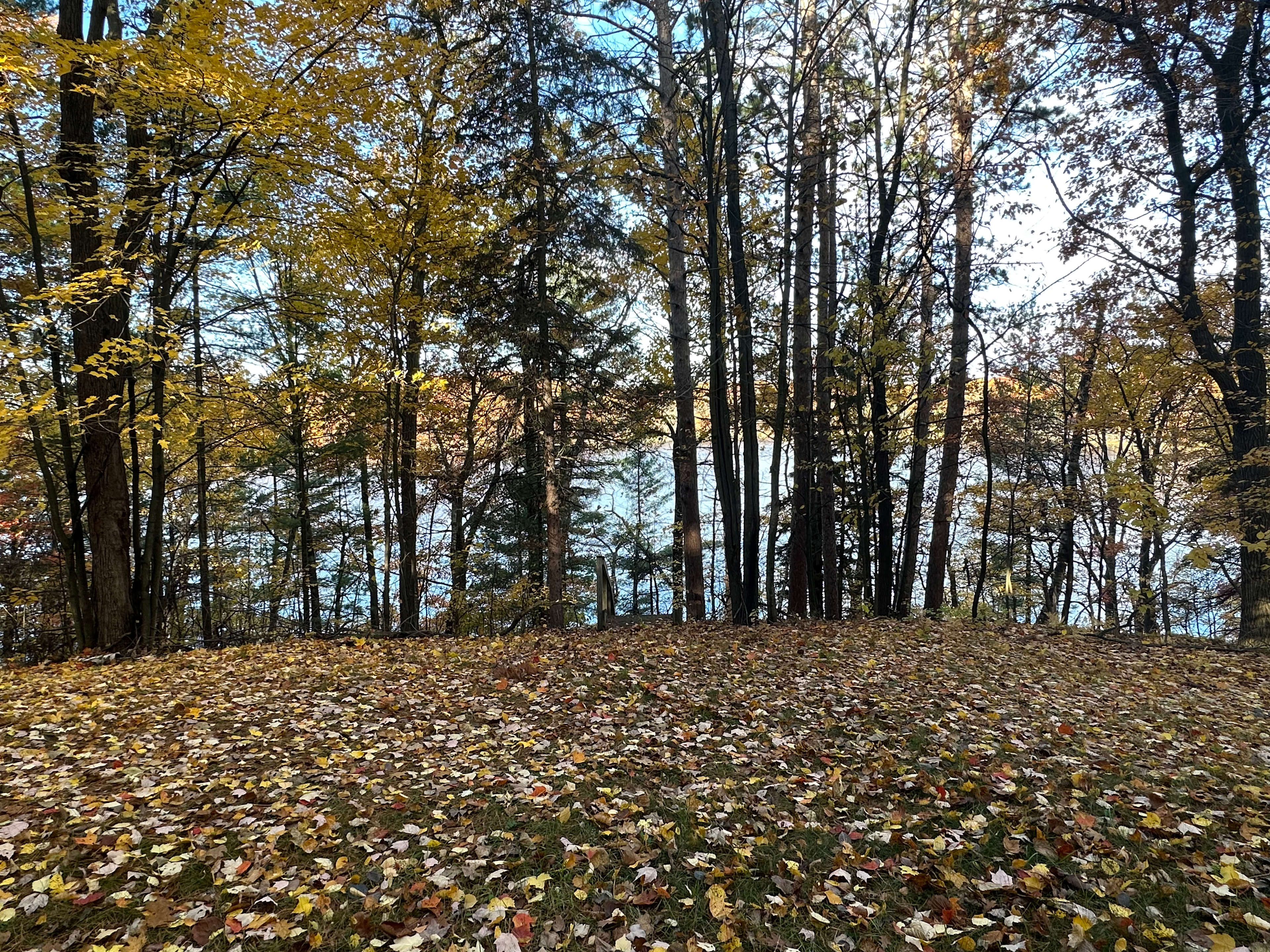 Area behind the garage and in front of the steps down to the lake.

This is available for tent camping. RVs and cars must stay in driveway of property.