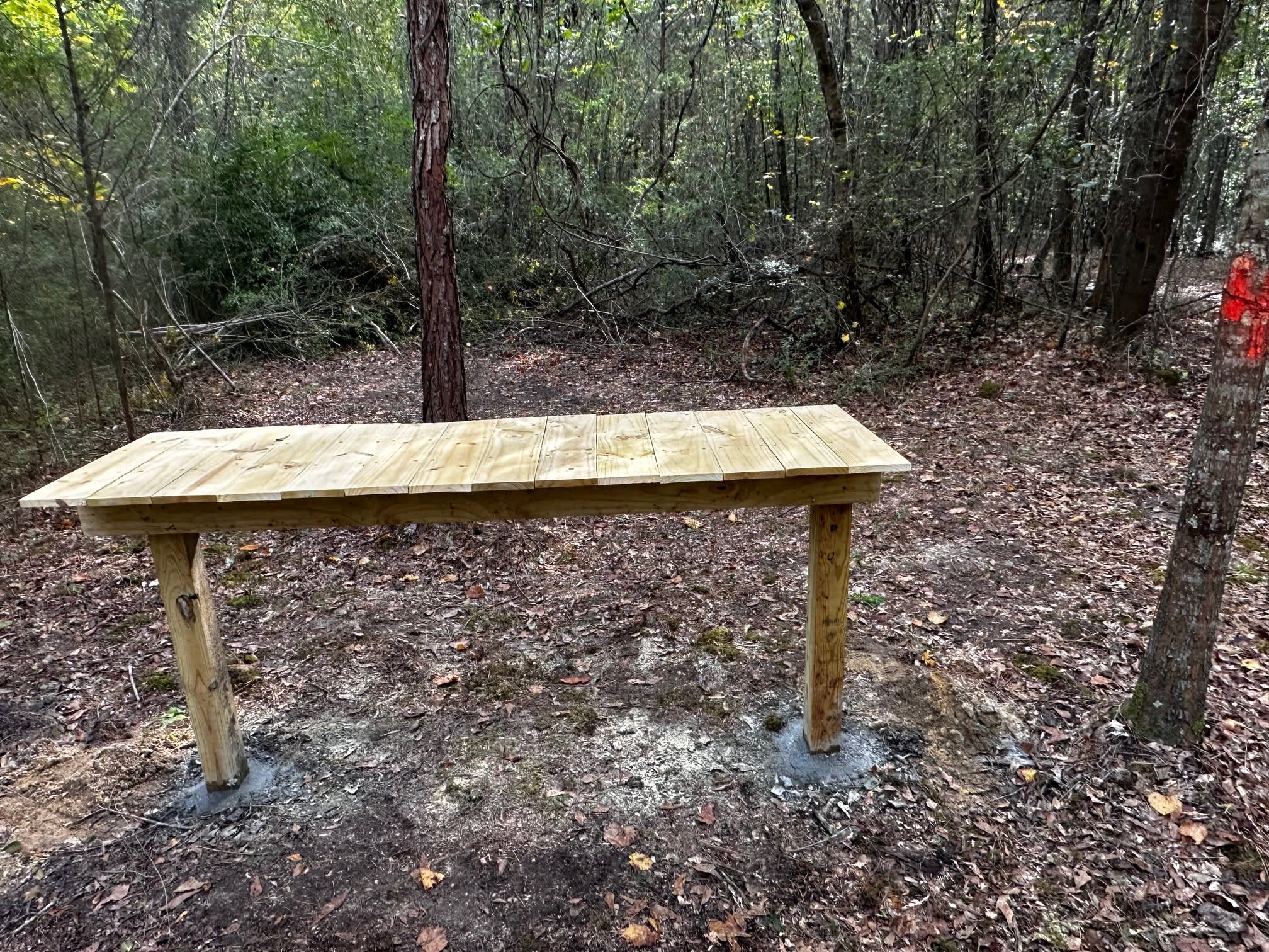 Site 4 - camping table