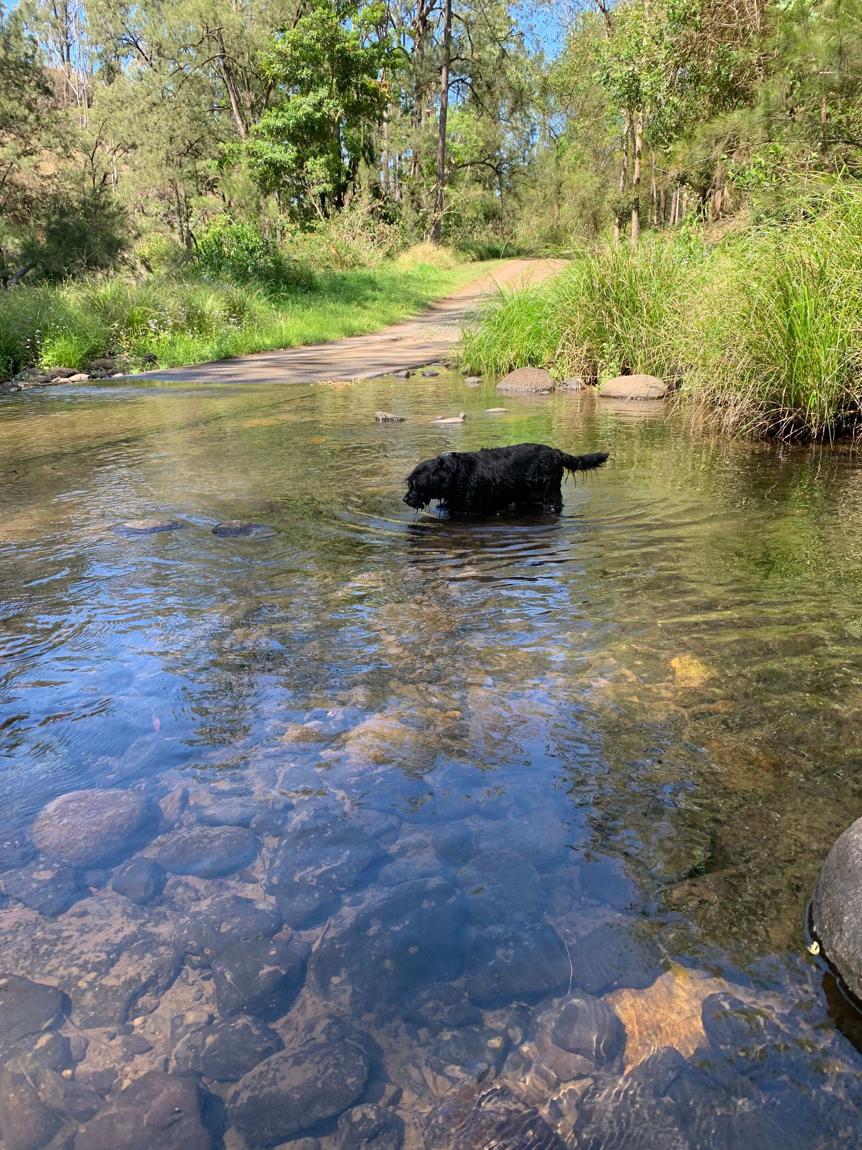 Hidden Valley Camping and Tea Gardens