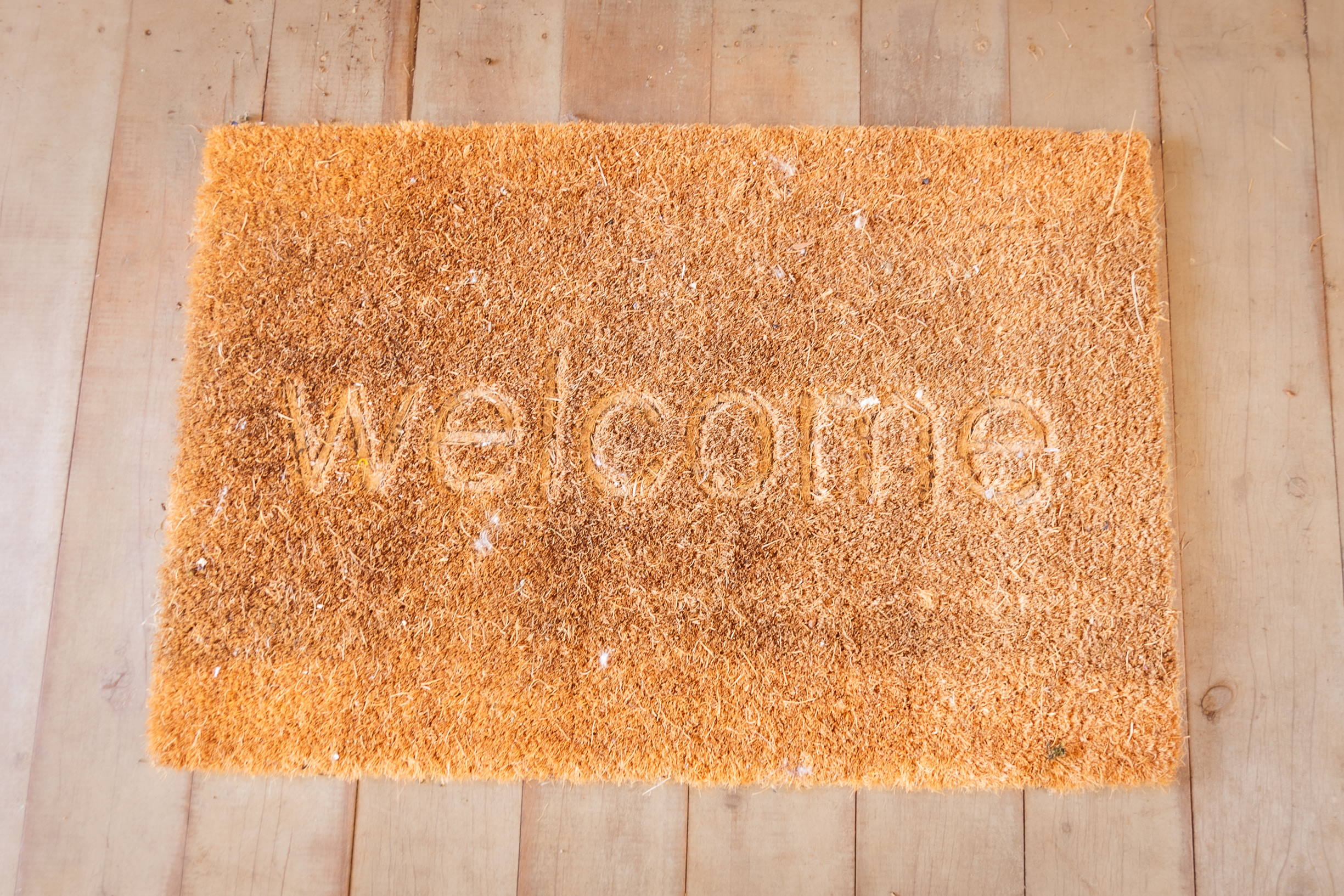 Willow's Retreat Nature Escape