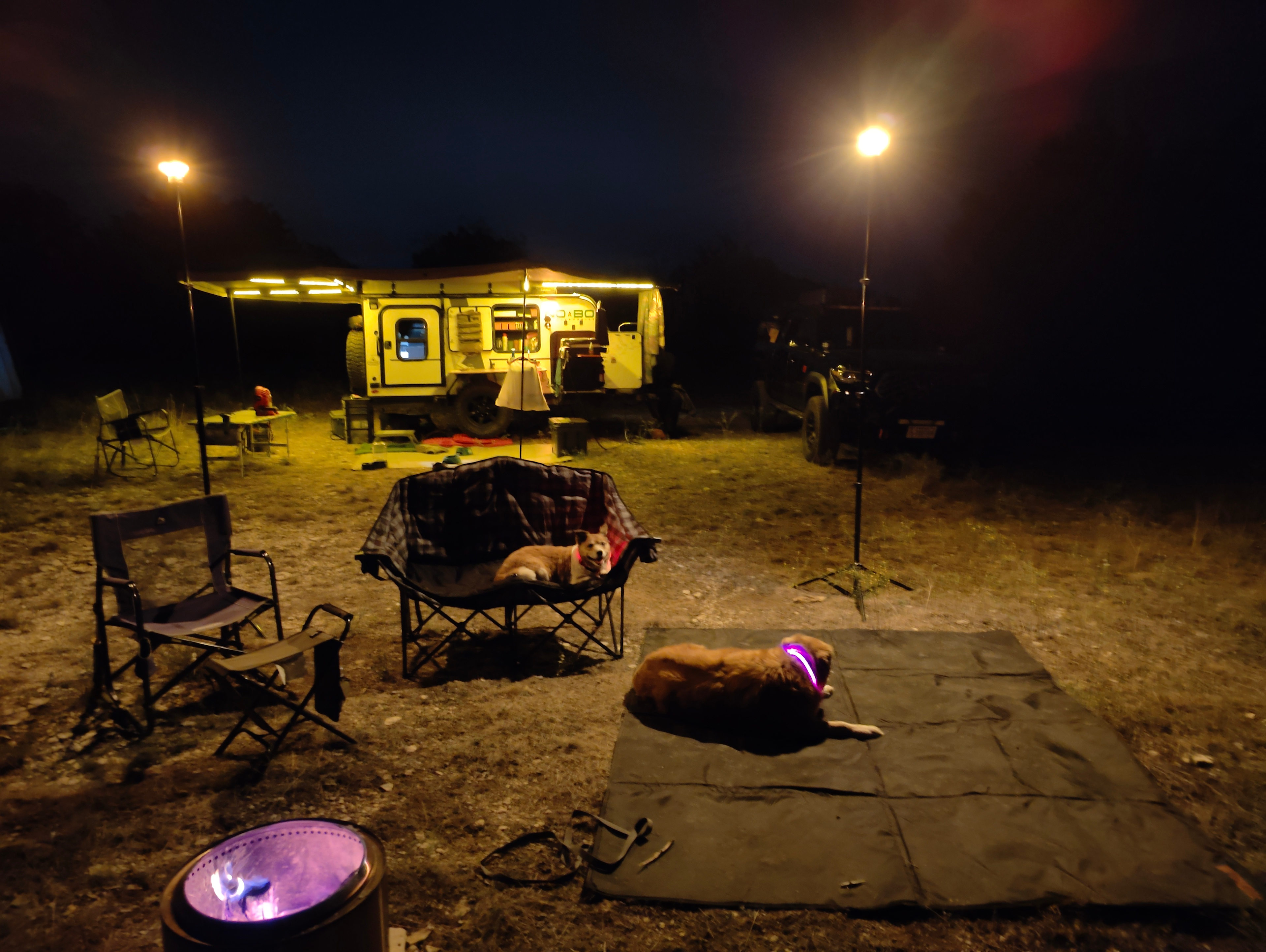 Puppy Paradise- Eclipse Viewing!