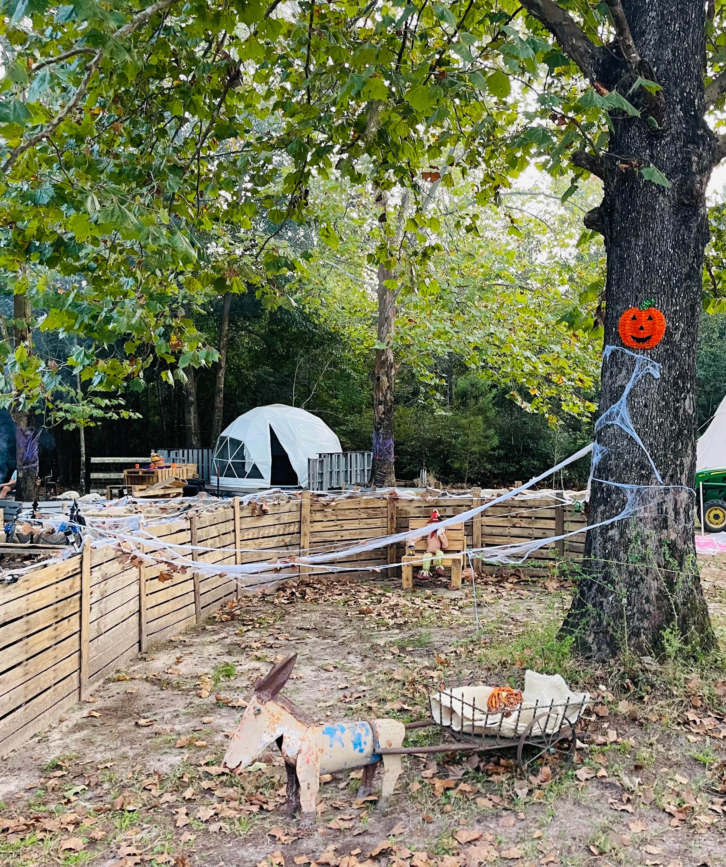 SandyLand Farmstay GlampingTherapy