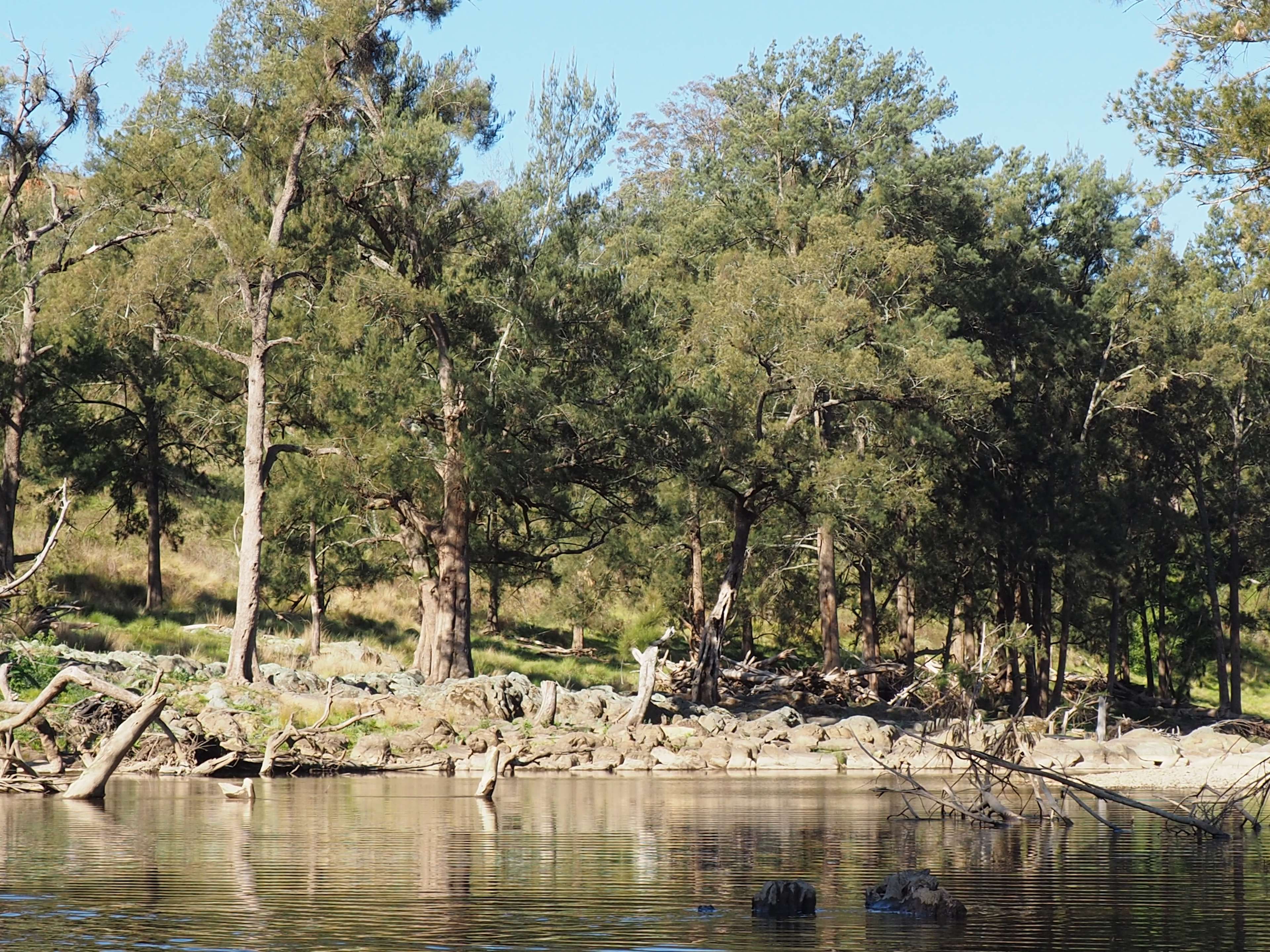 On the Stone River Retreat