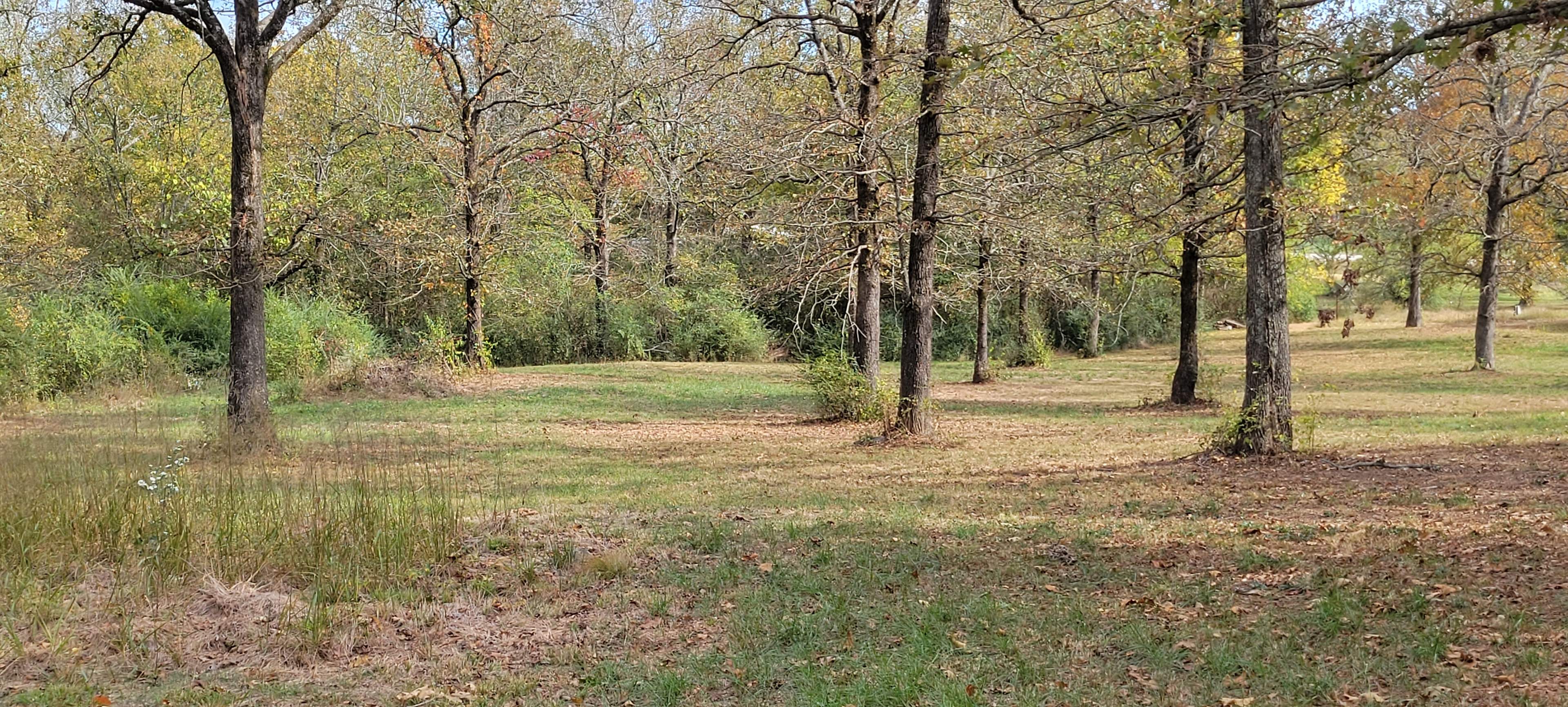 Turtle Island RV Park & Campground