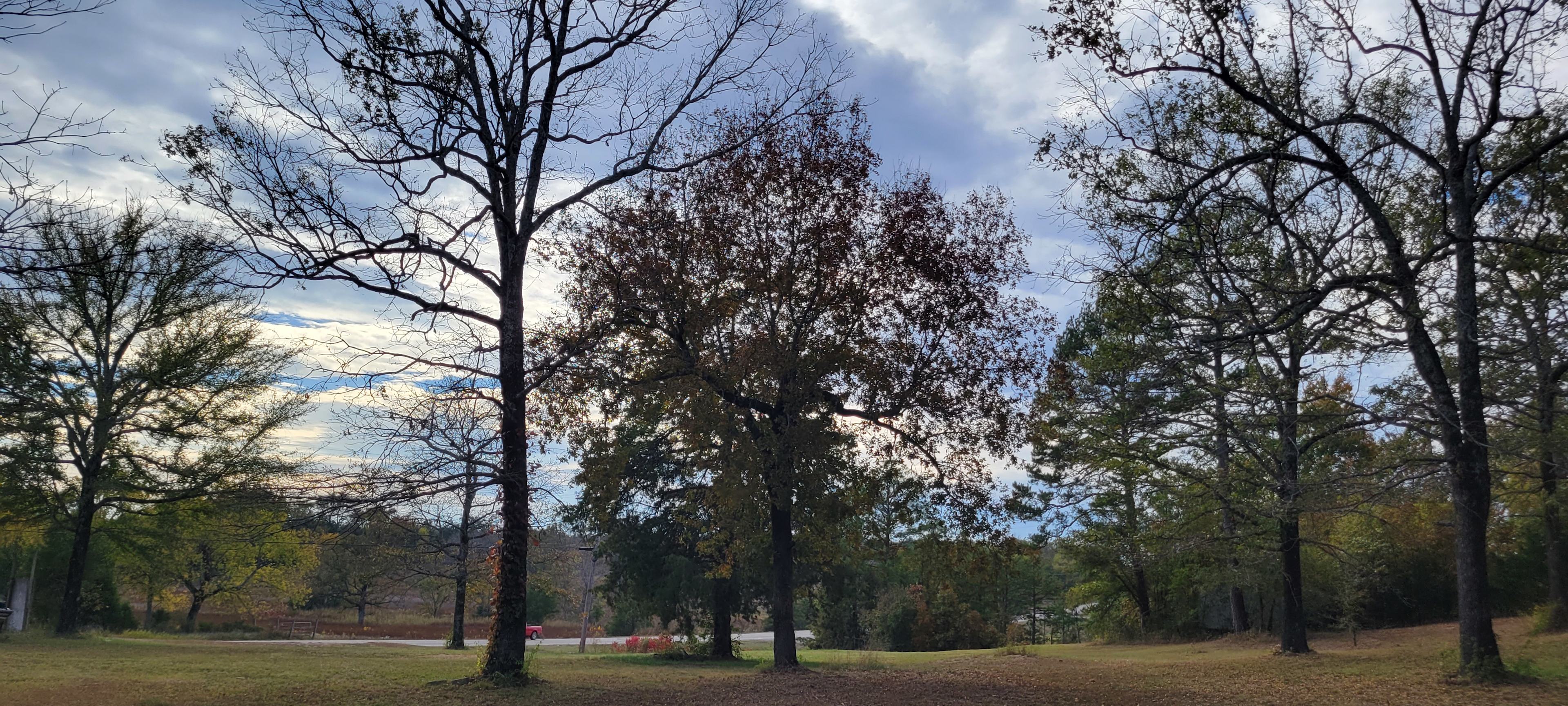 Turtle Island RV Park & Campground