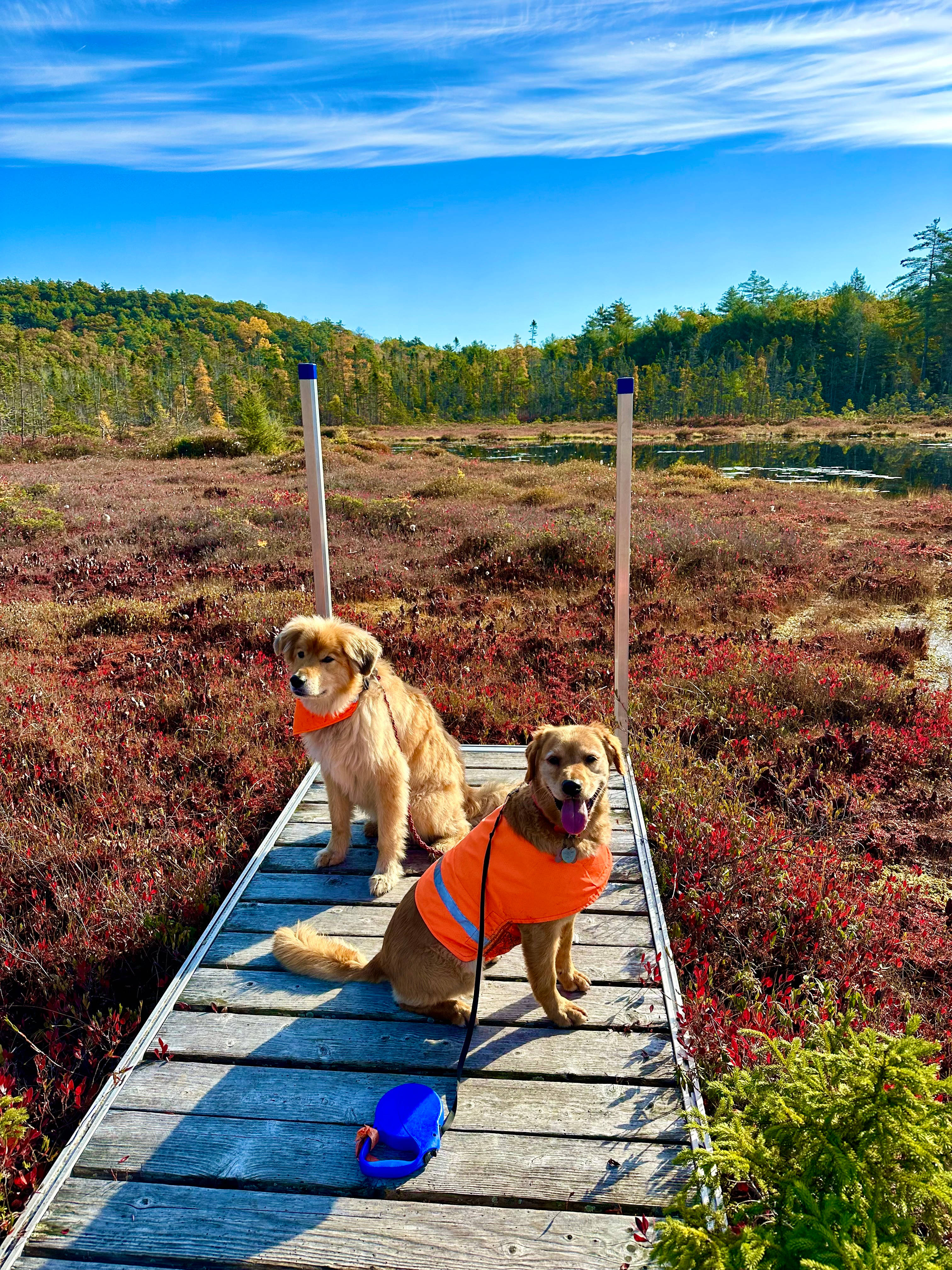 Hidden Valley Nature Center