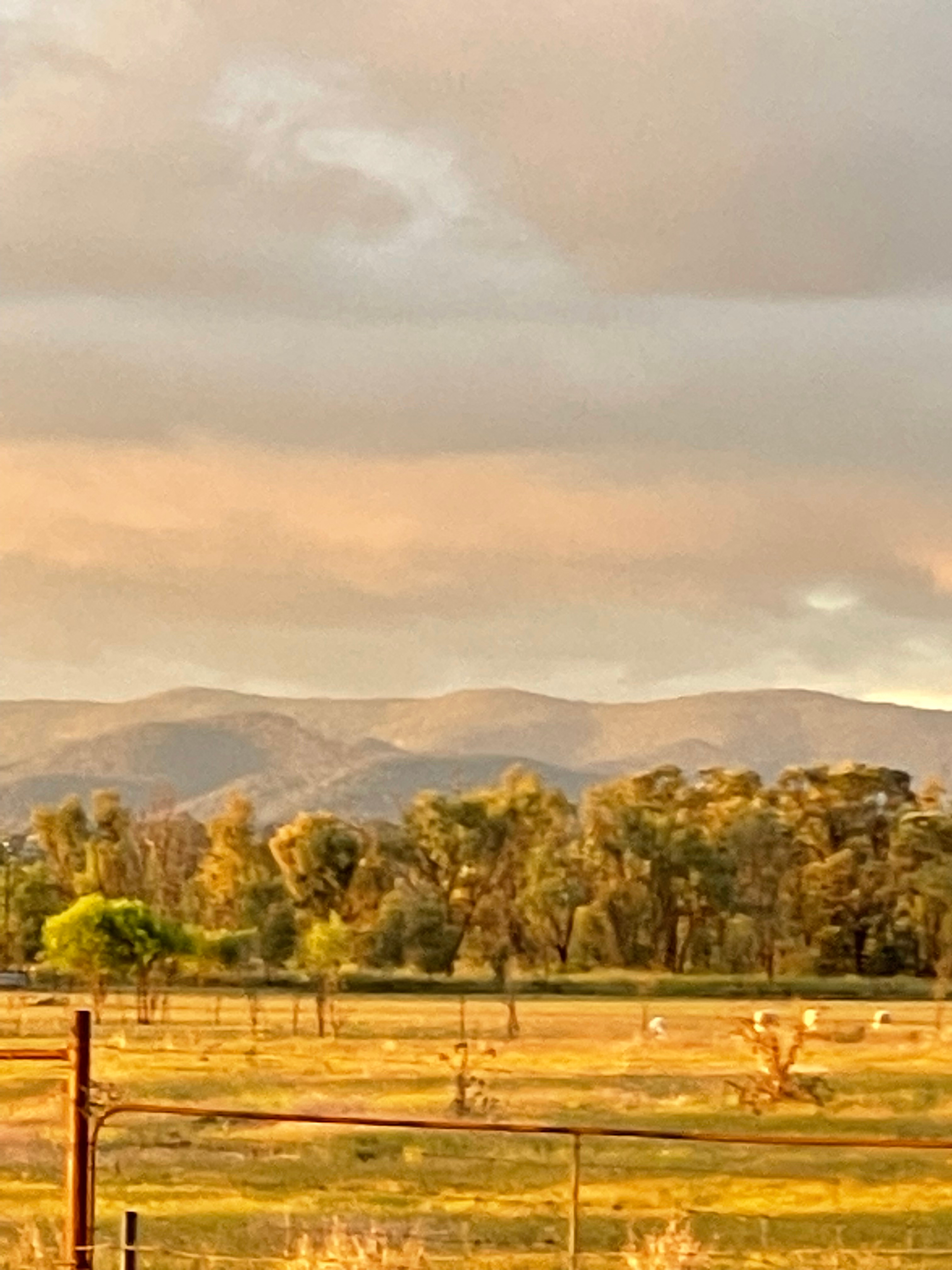 Waverley Historical Homestead