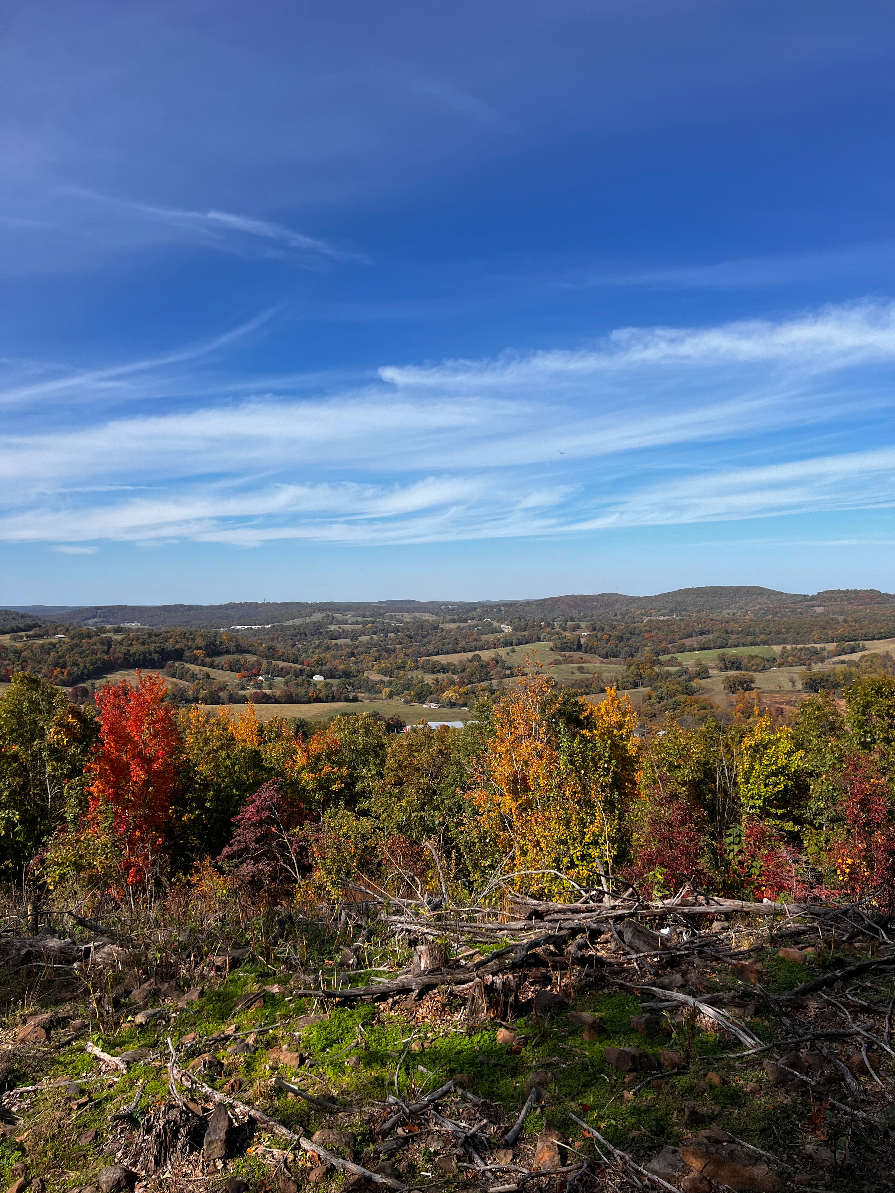 Gobbler Point