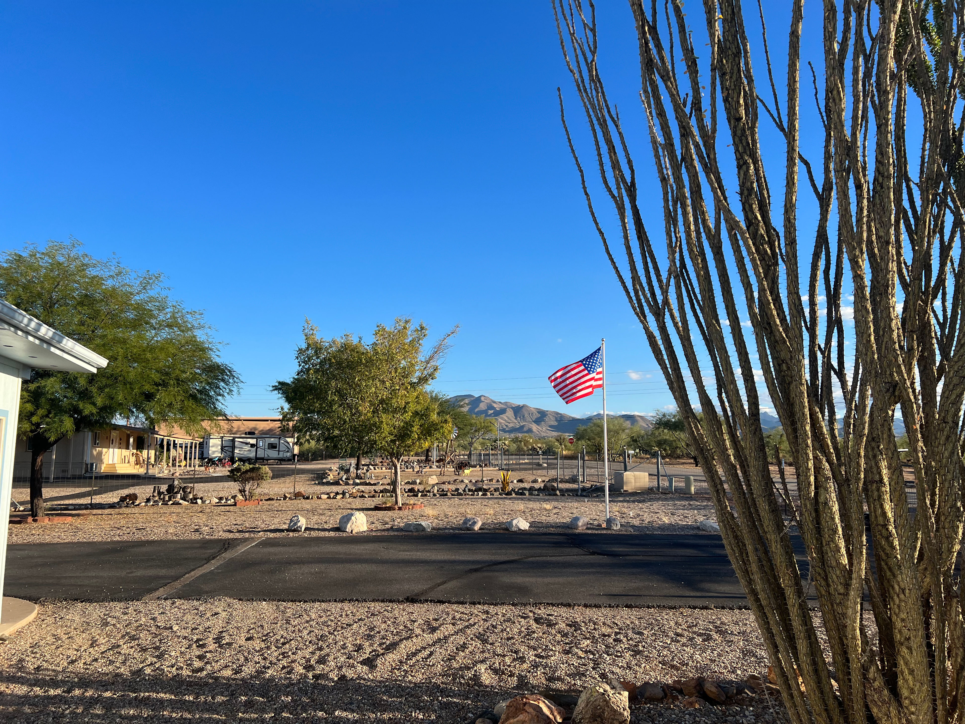 Cola de Tucson