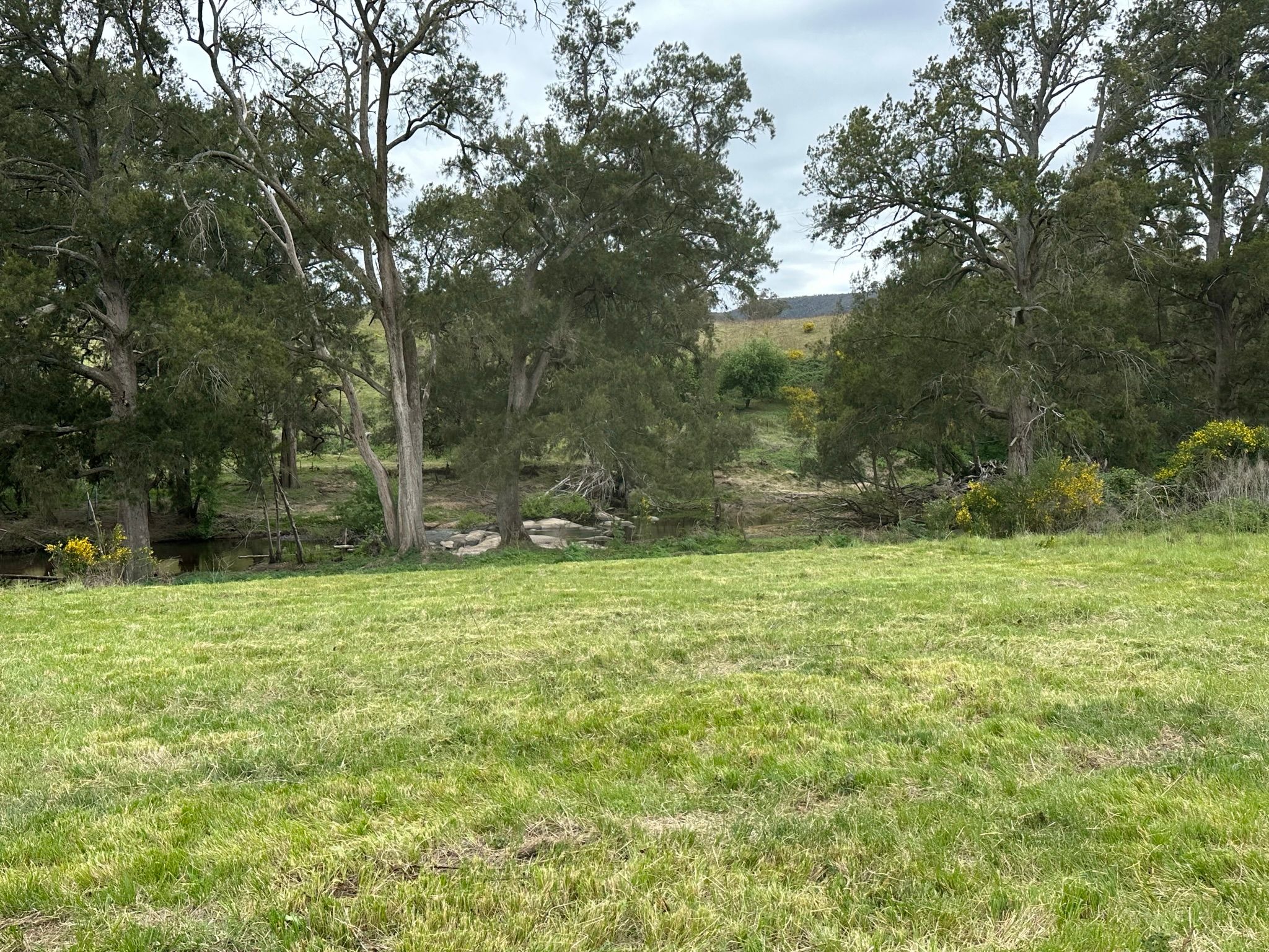 Riveroak Farm