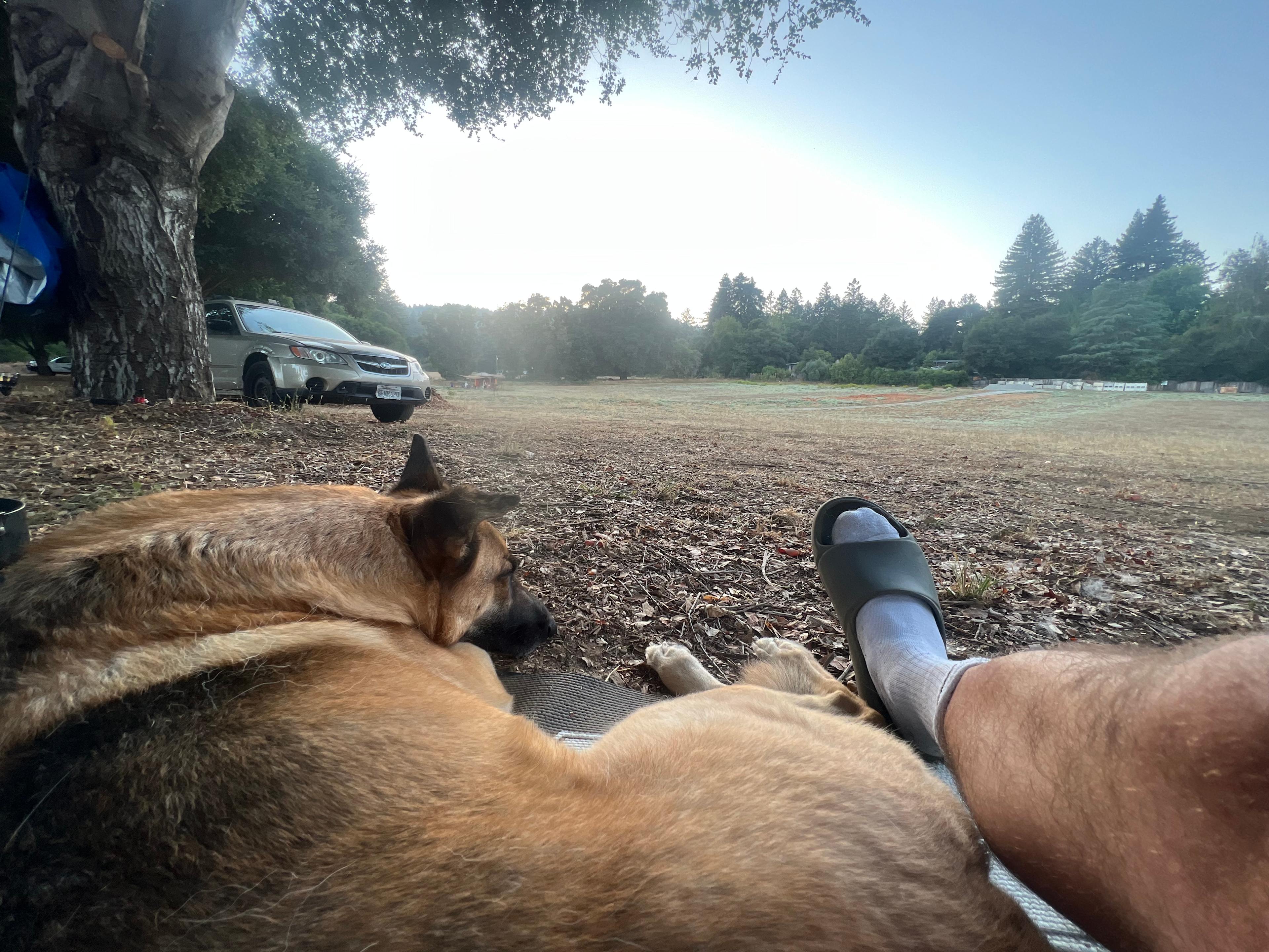 Felton Open Space Camp Sites