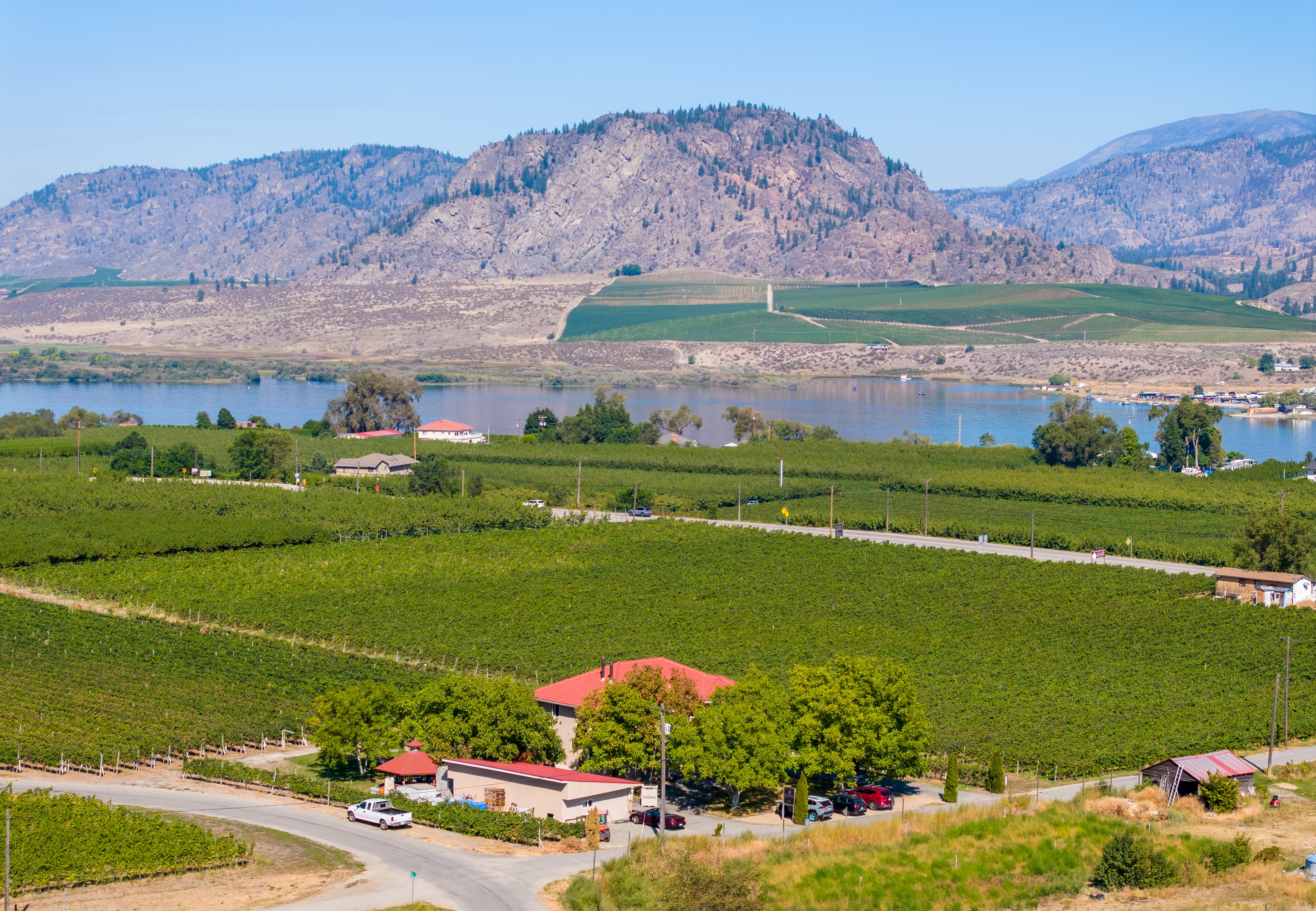 Mythology Vineyard