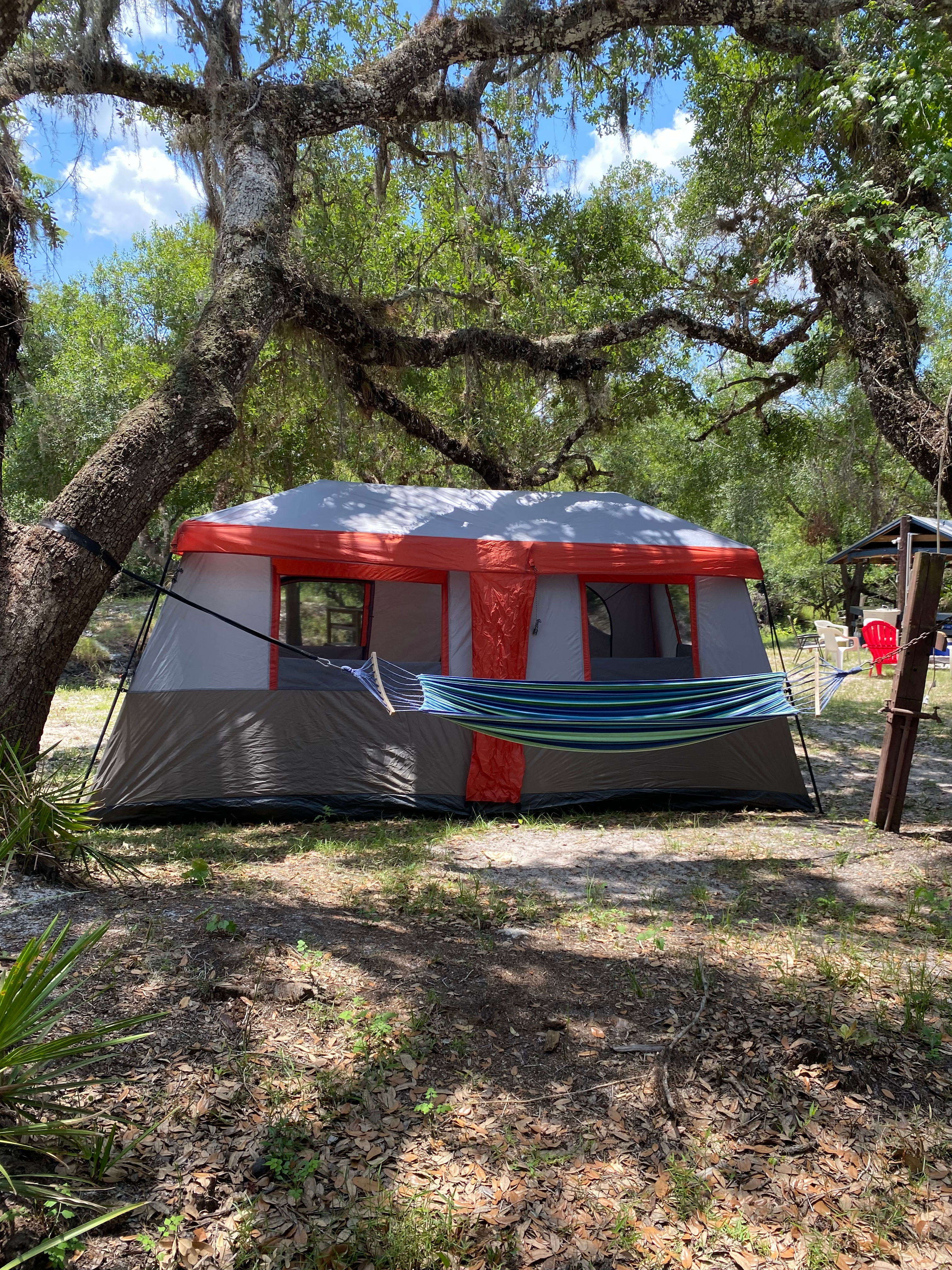 Camp Champ