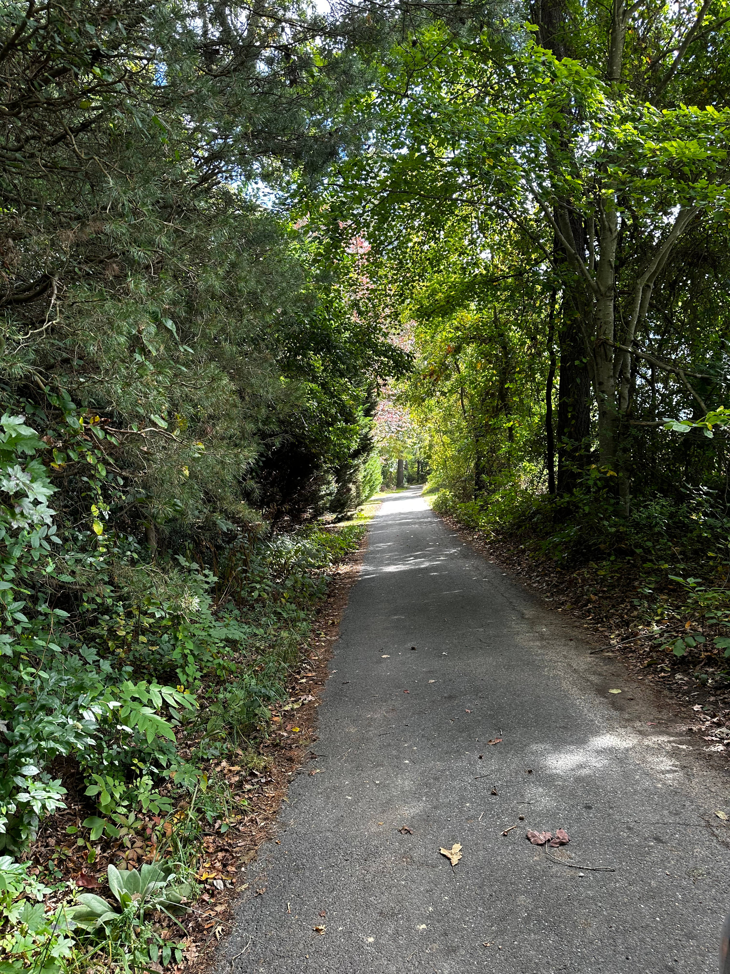 WillowOak camp and CedarCreek ponds