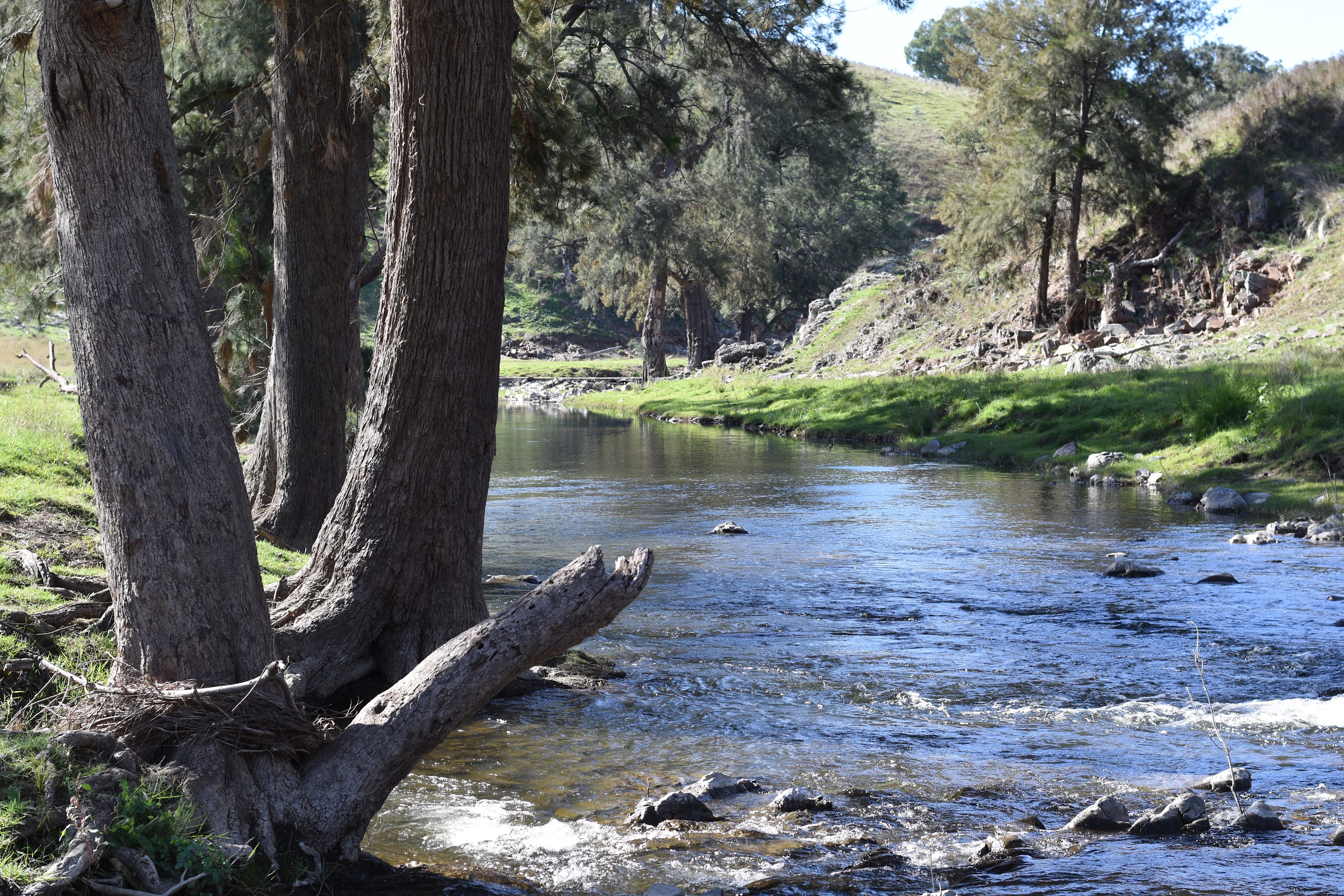 Bellandre Park