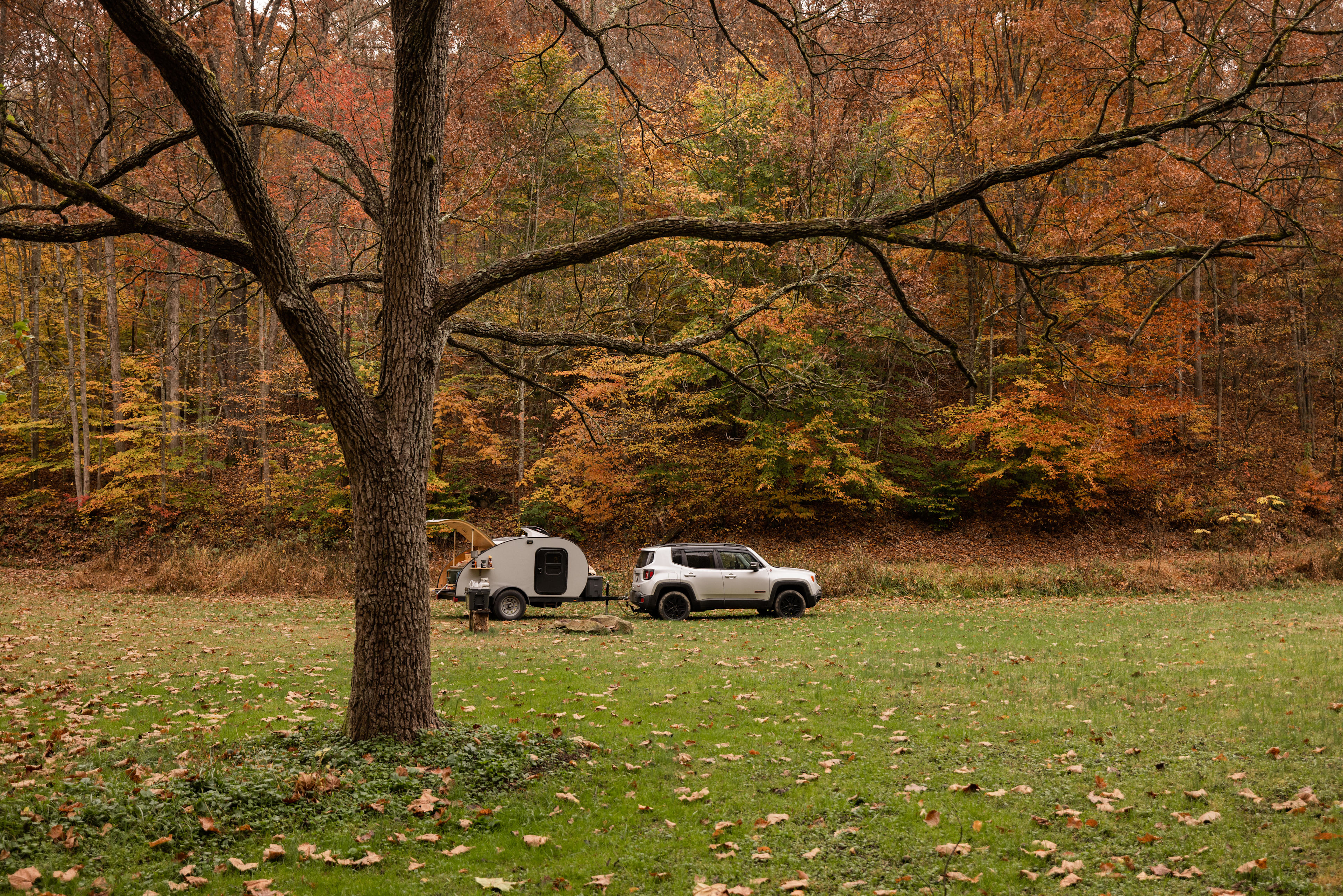 Coon Creek Cove Hideaway