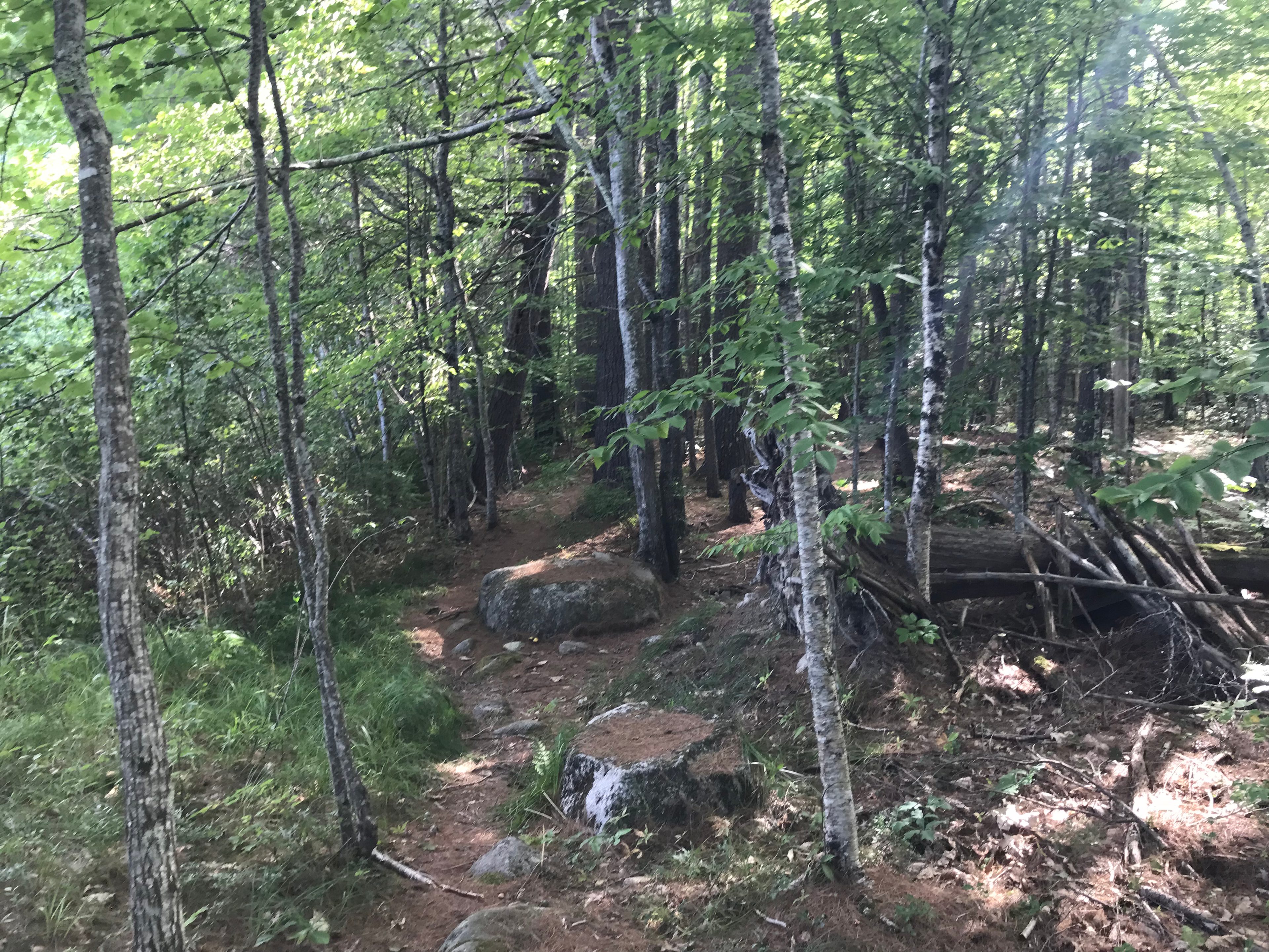 The Queen's Property on Thomas Pond