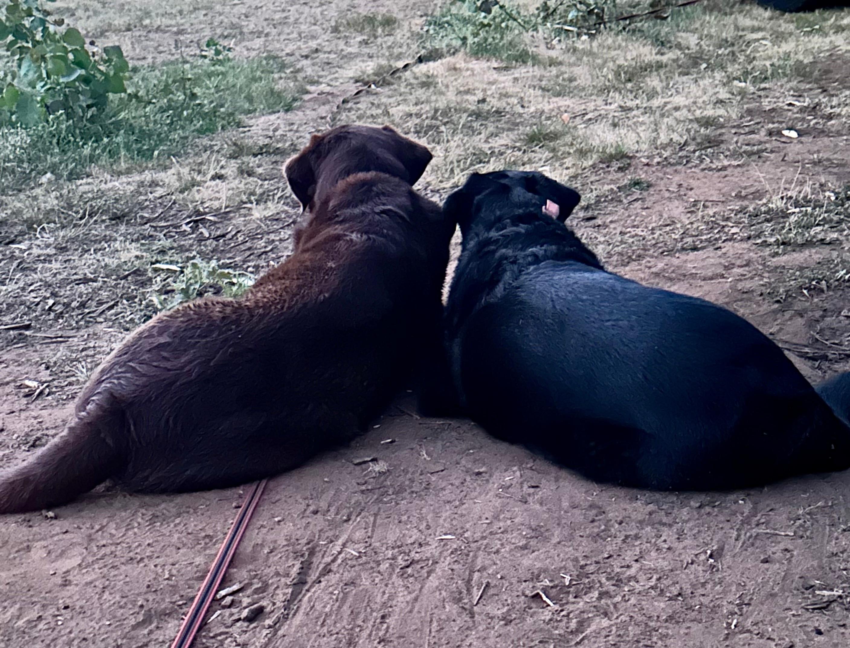 Nanga River Retreat, Dwellingup.
