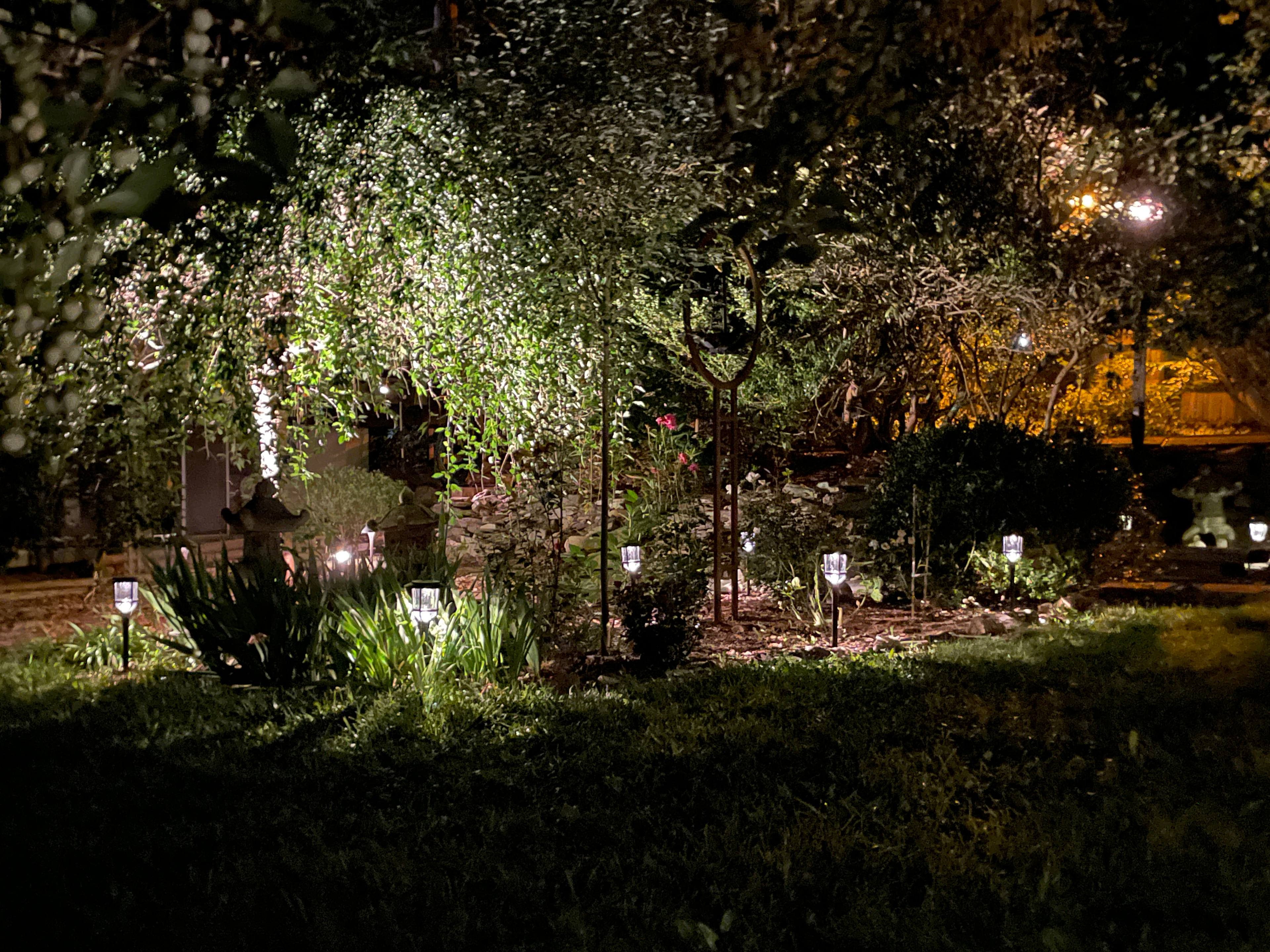 View at night of gardens and more