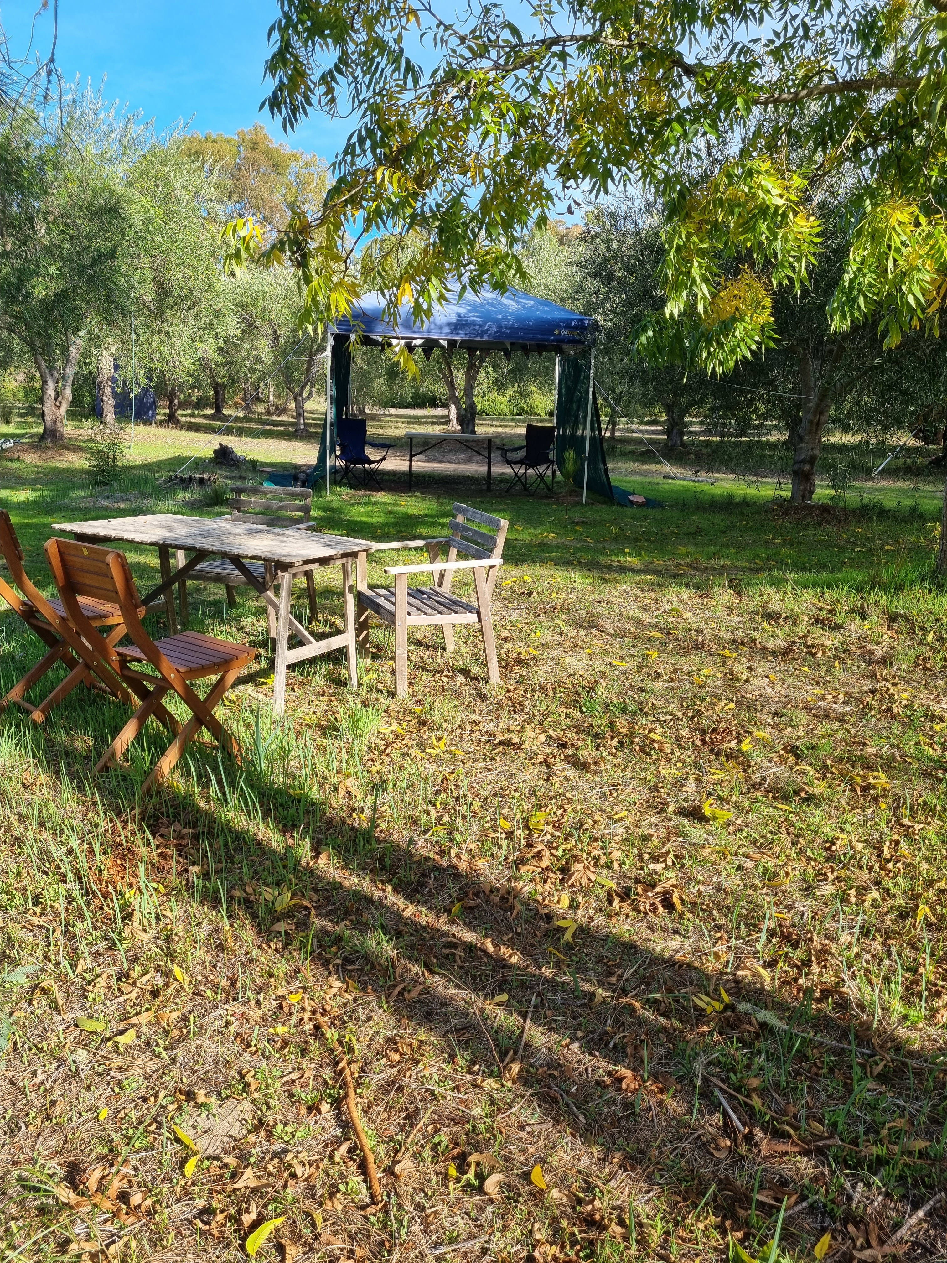 Kangamia Dam View Bamboo Site