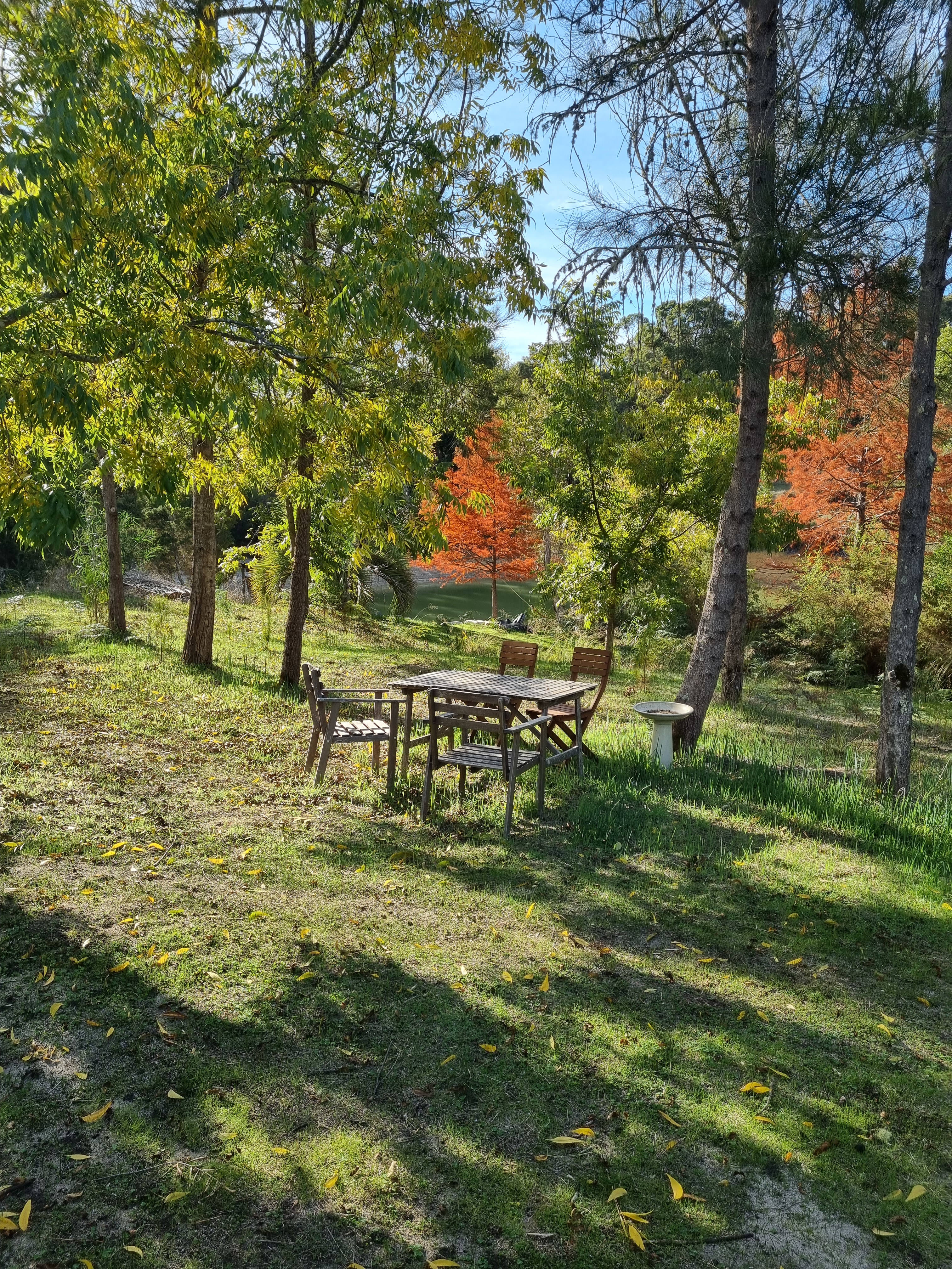 Kangamia Dam View Bamboo Site