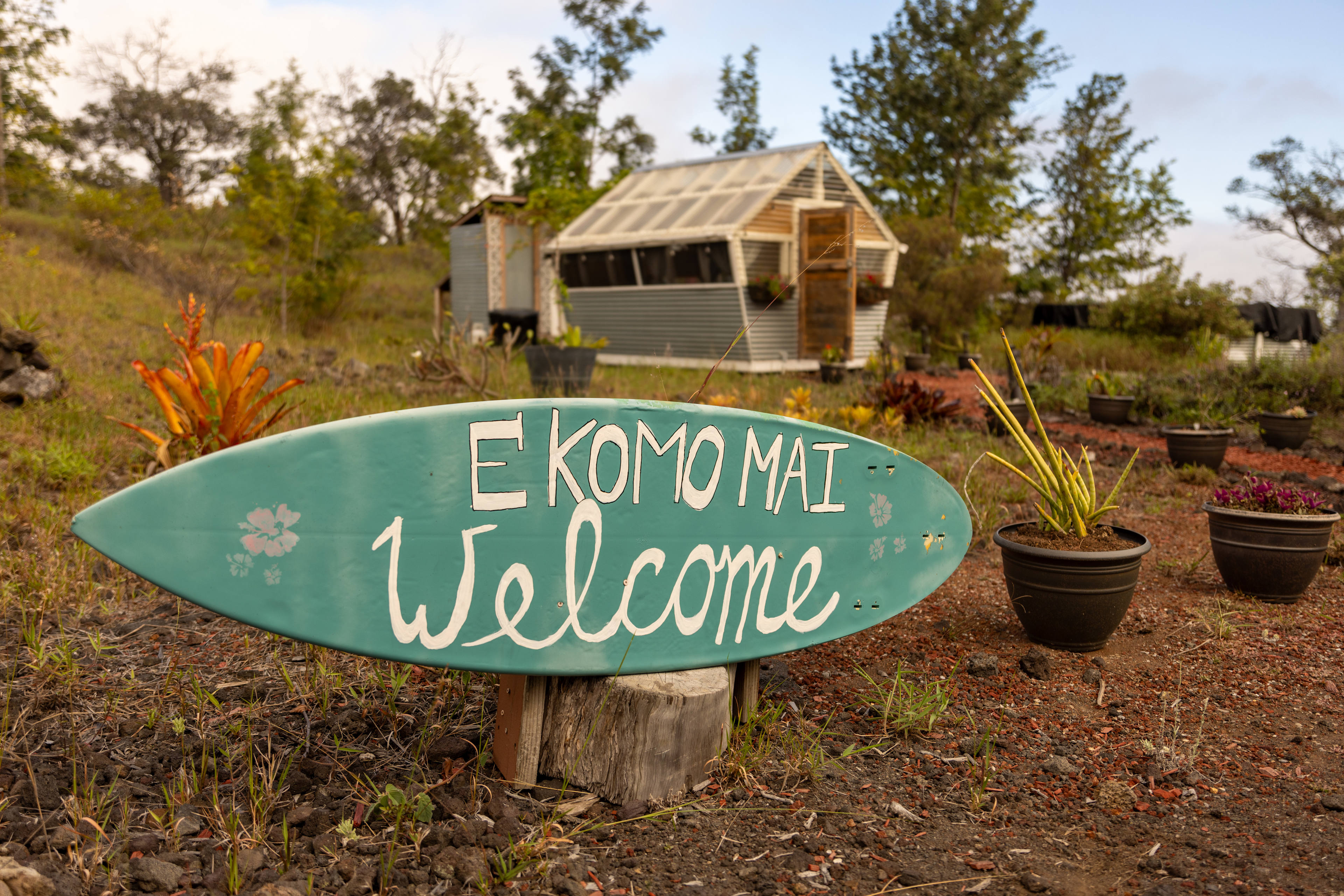 The Flower Bed Whimsical Cabin