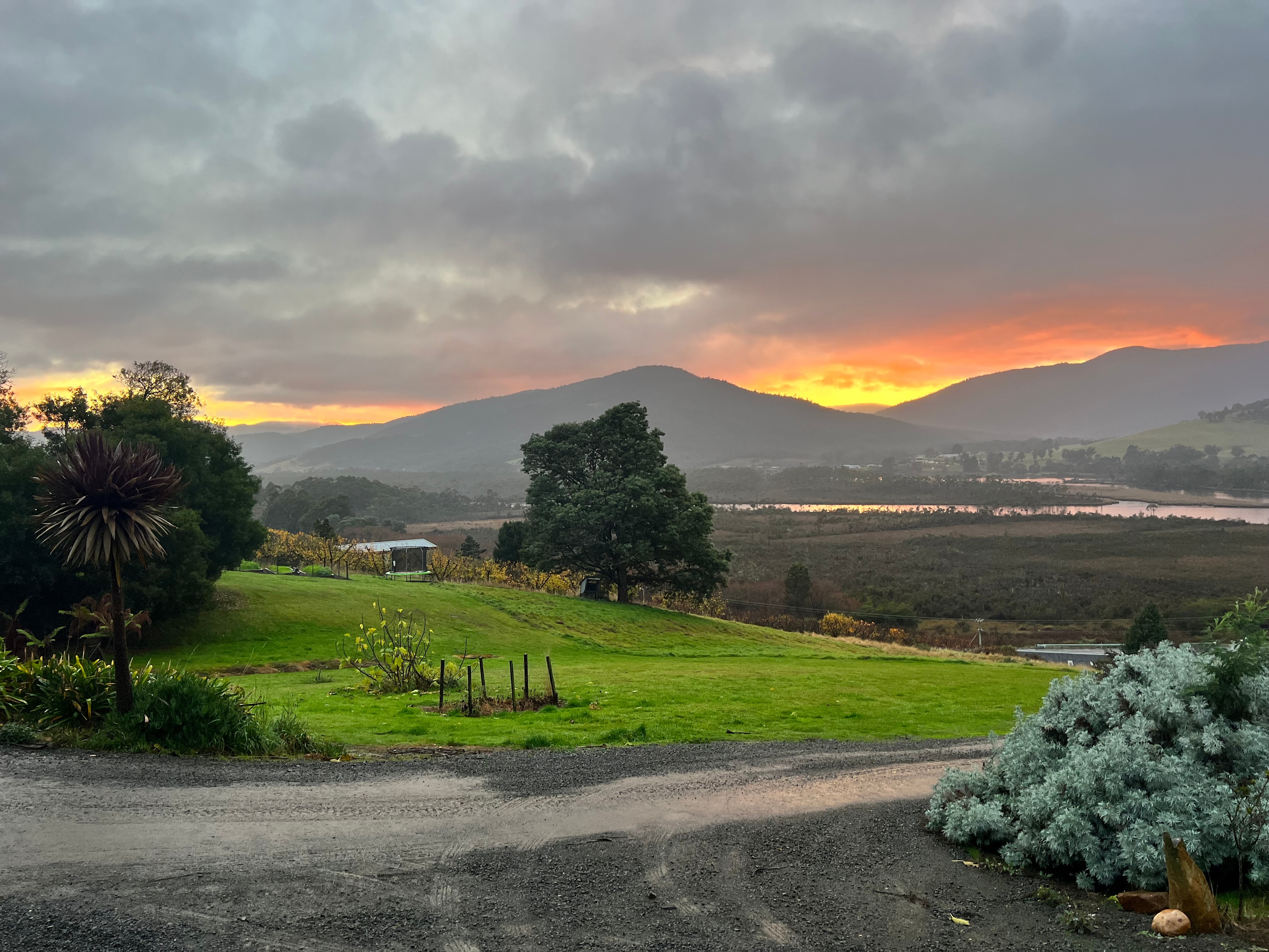 Black Cockatoos' Rest