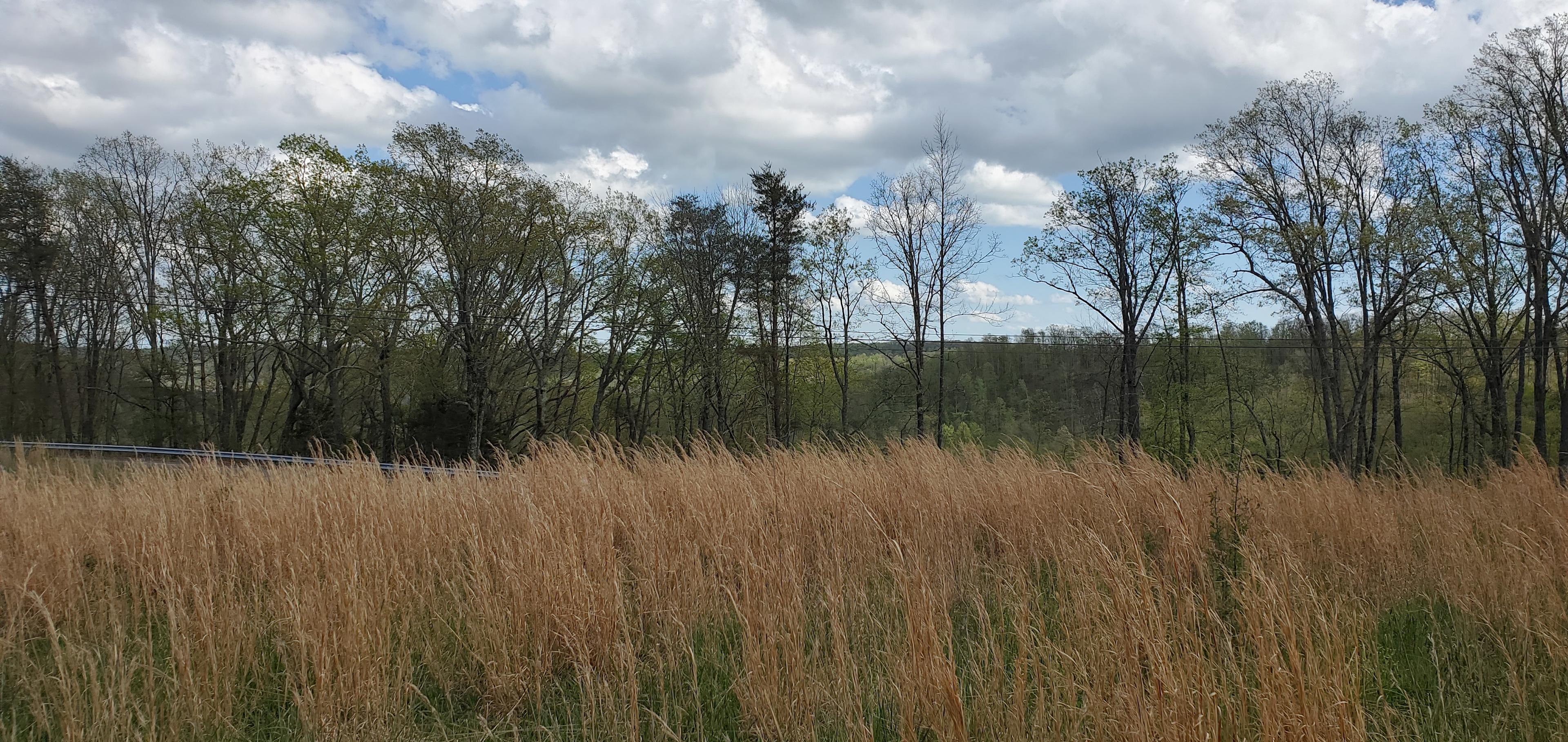 Seasonal view of neighboring valley