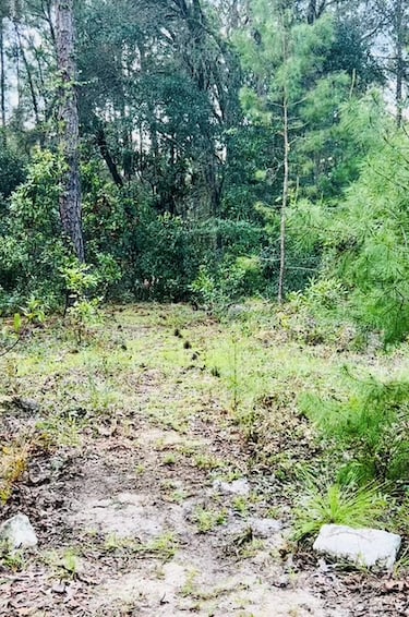 Higher Ground The Woods TOO (#2)