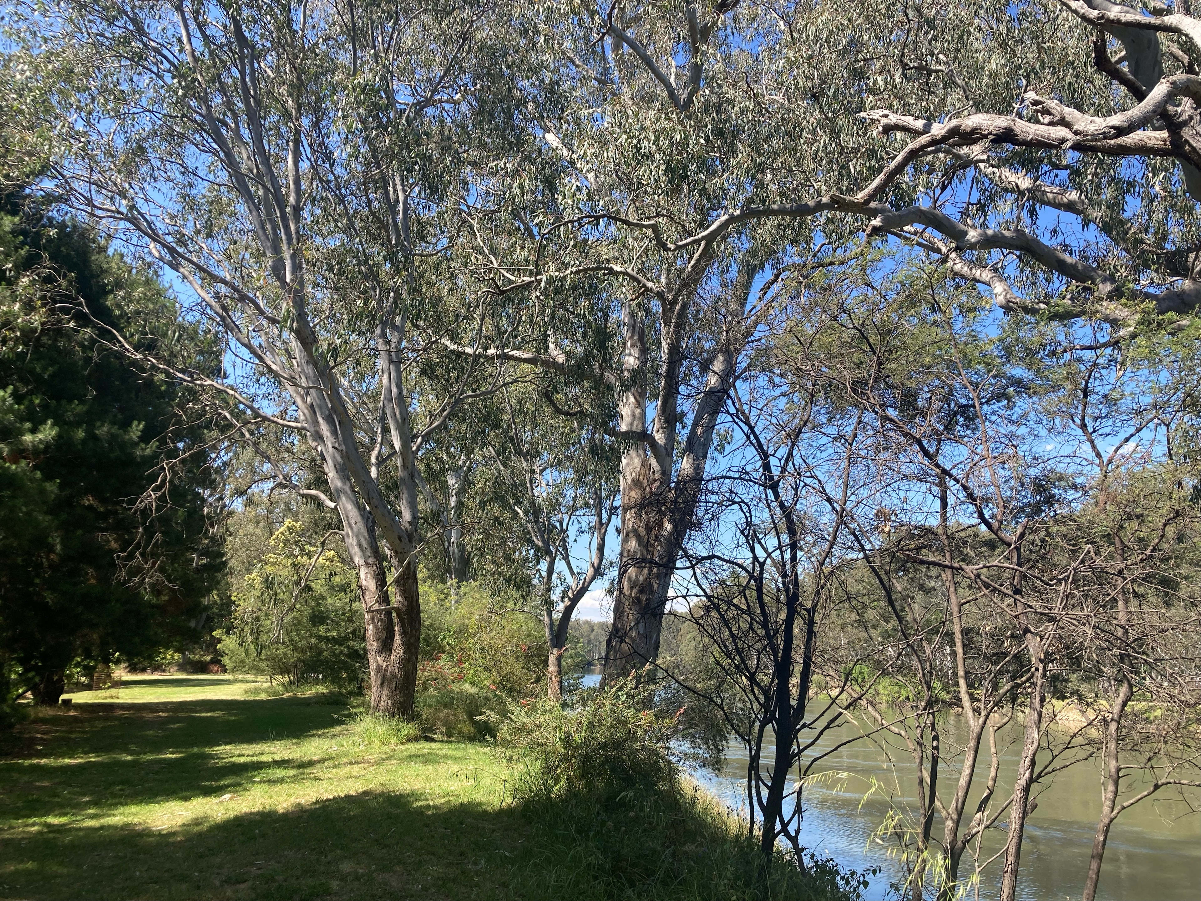 Banks of the Murray, Corowa
