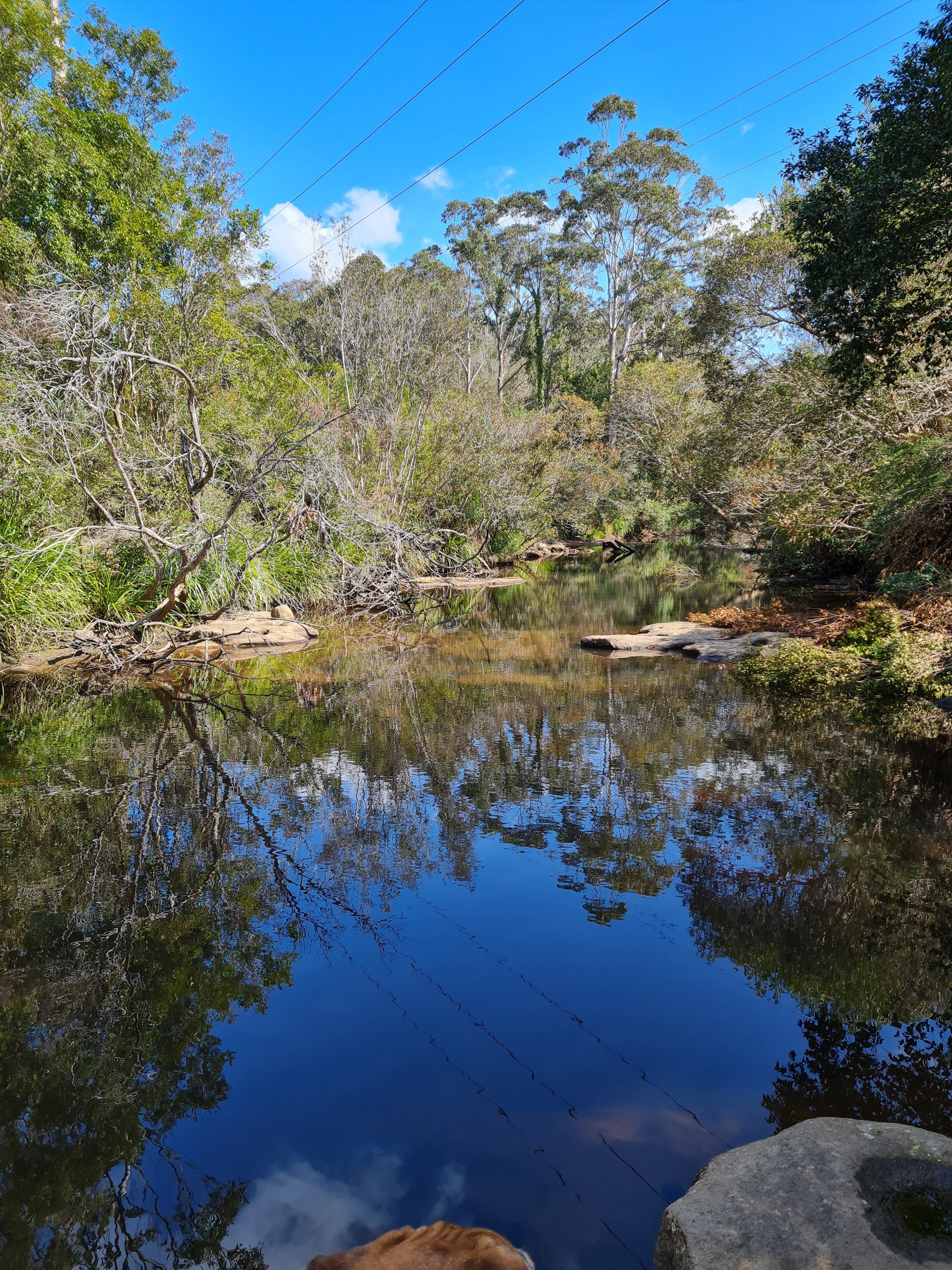 All within a 300m walk from camp