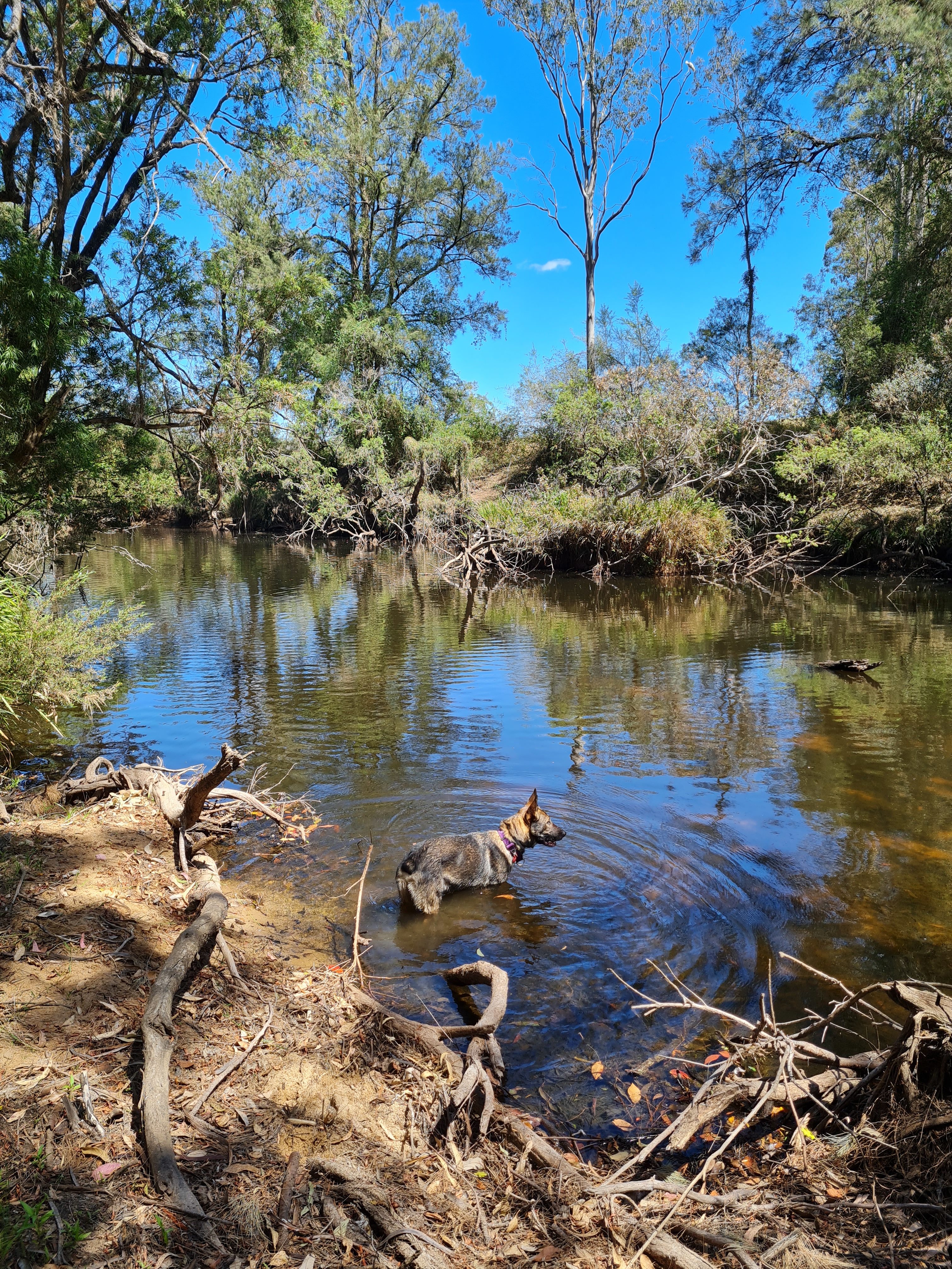 All within a 300m walk from camp
