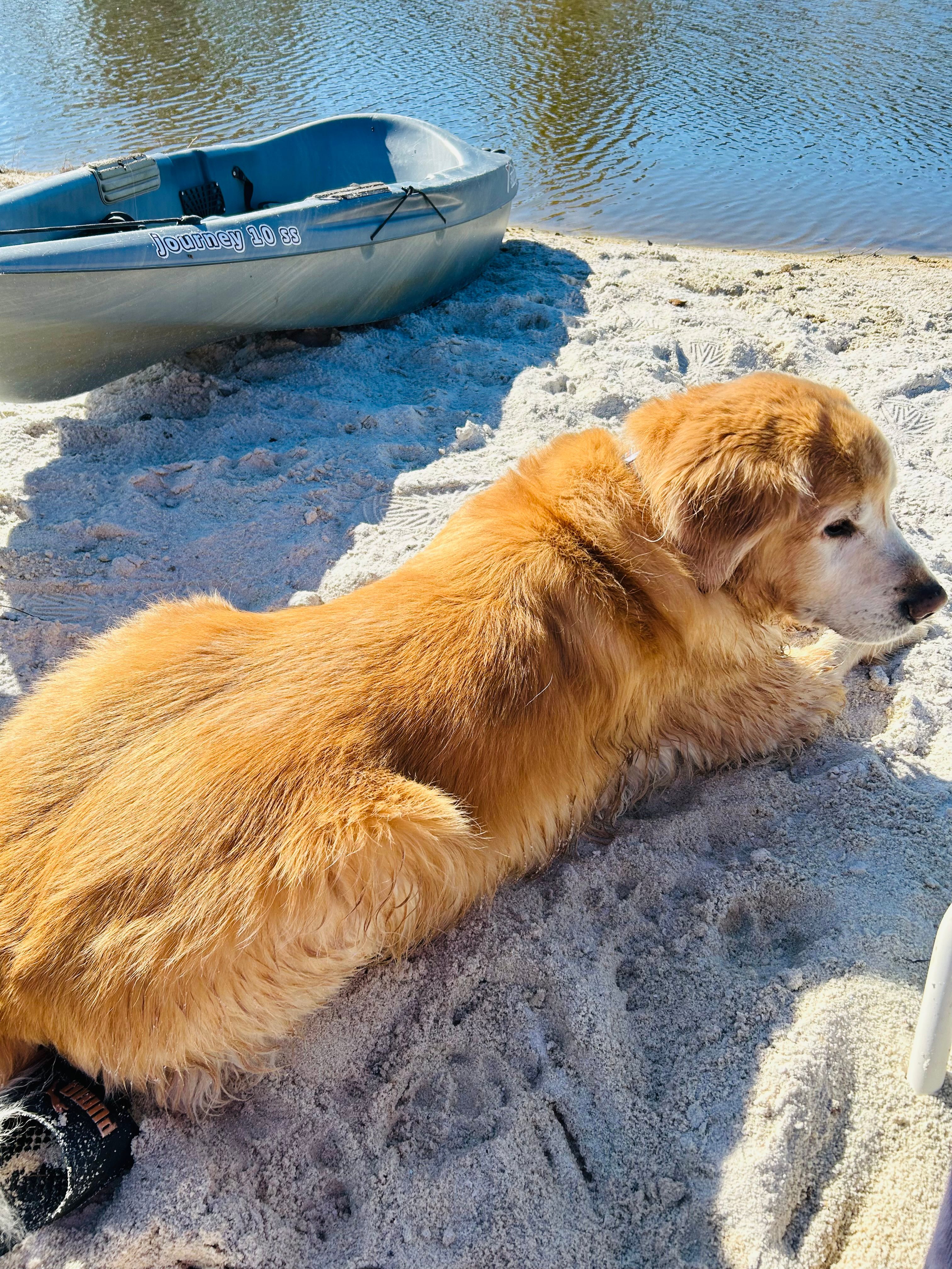Leach Homestead campground
