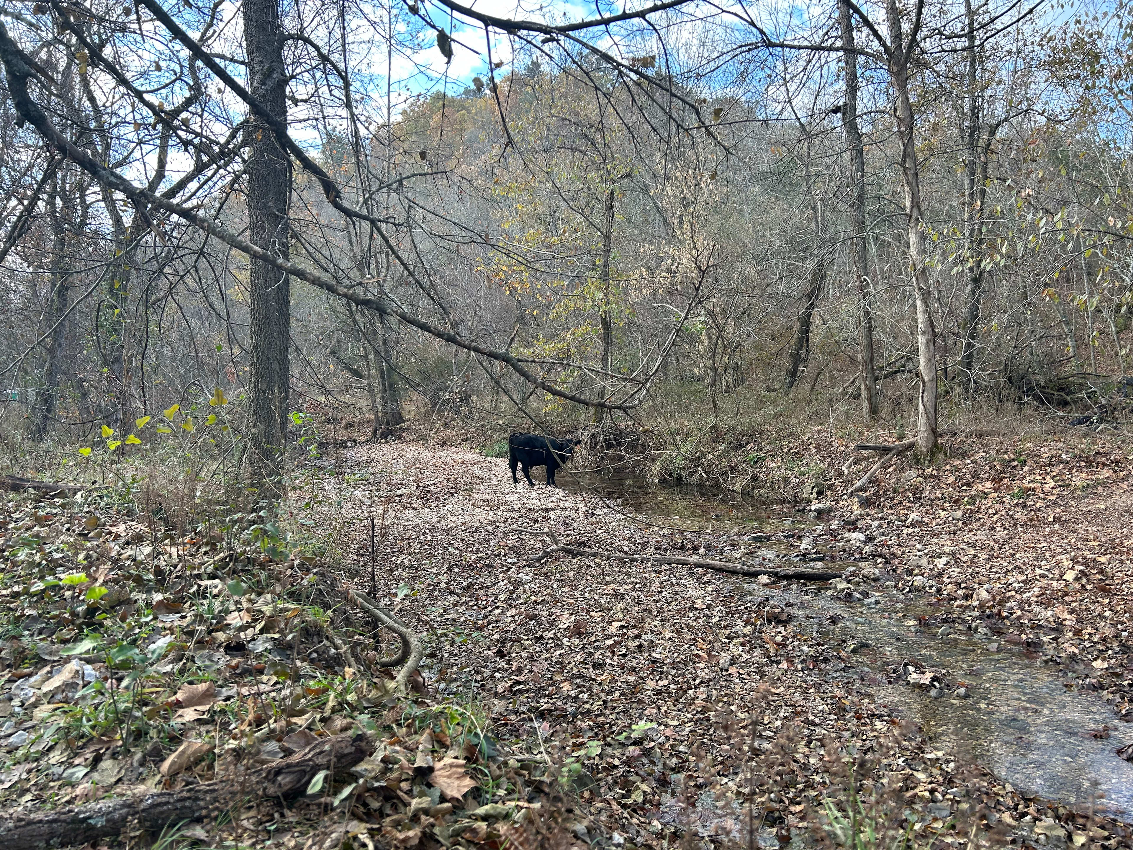 Creekside Camping at Rocky Acres