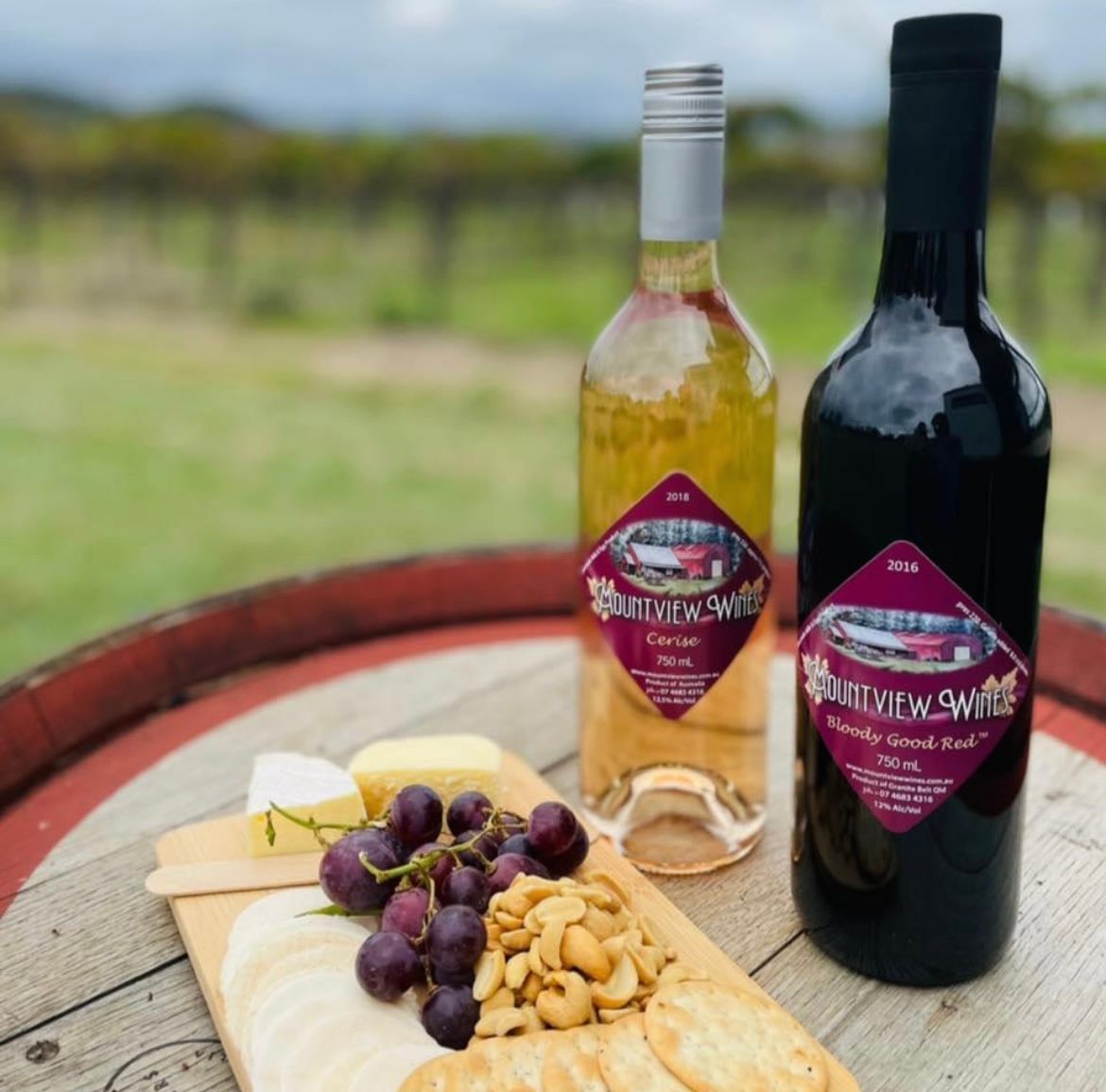 Mountview Wines Camping and Cabins