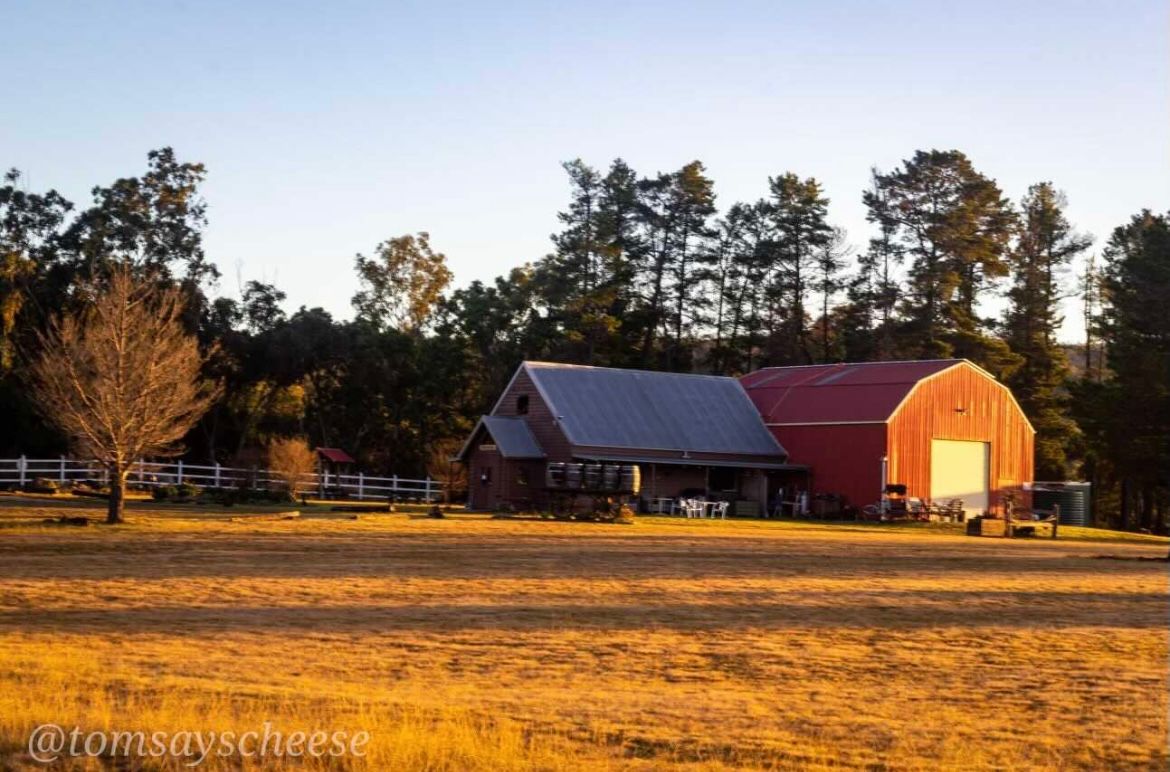 Mountview Wines Camping and Cabins