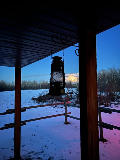 Shuddabinbigger cabin and camping