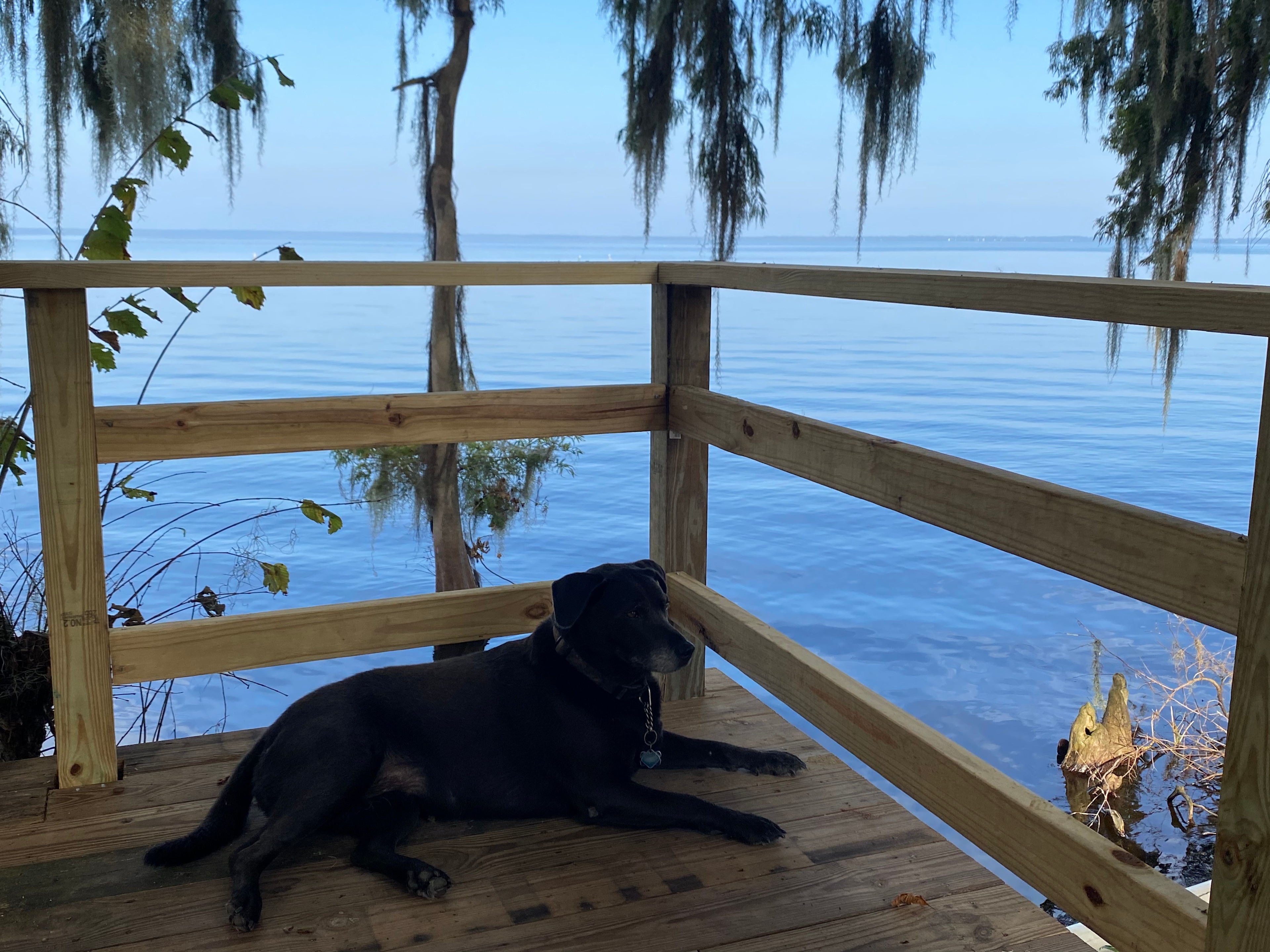 Pet friendly, please contact us ahead of time if you are bringing yours