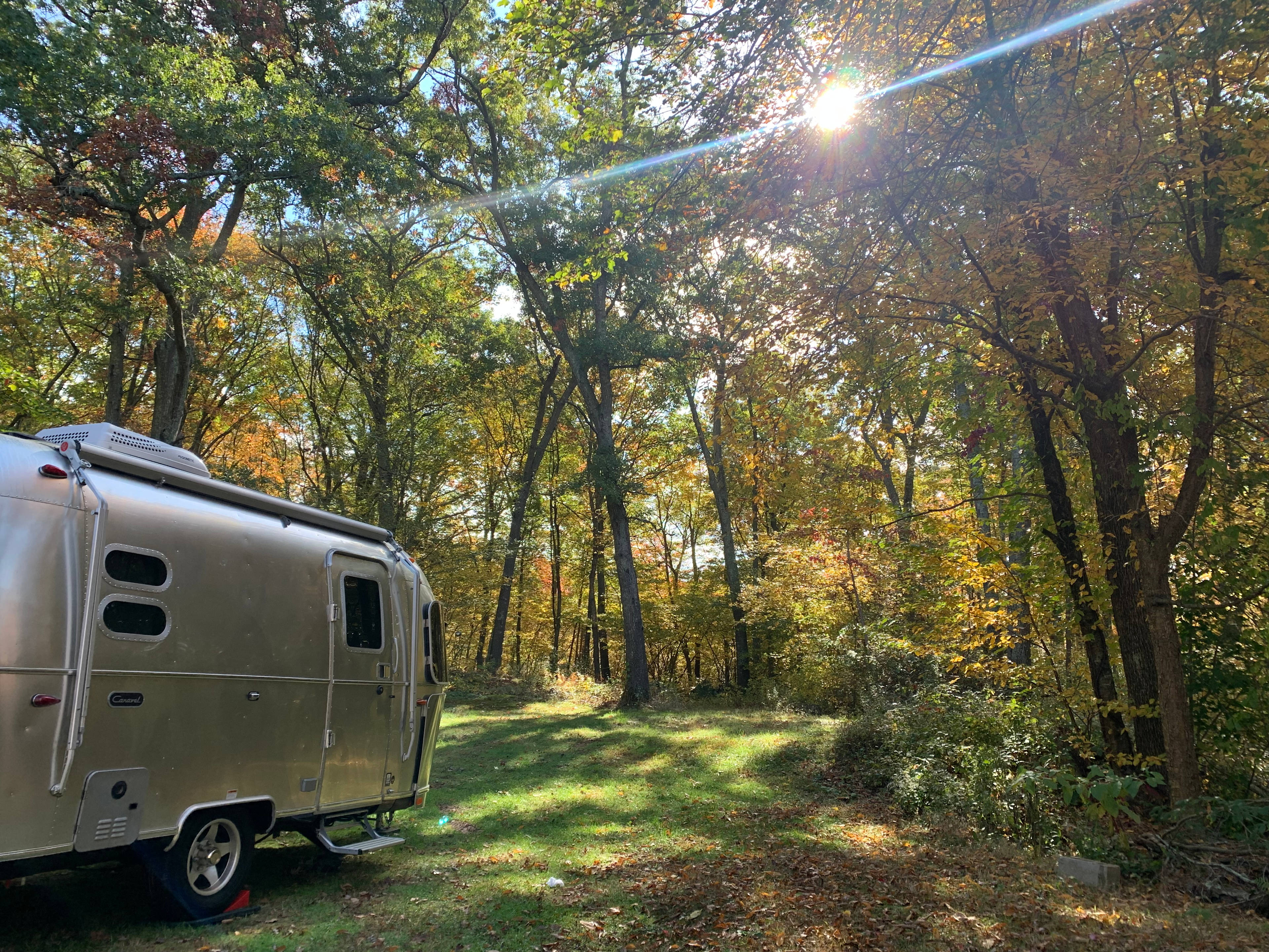 SimplePrivateNaturalEpicFirepitPets