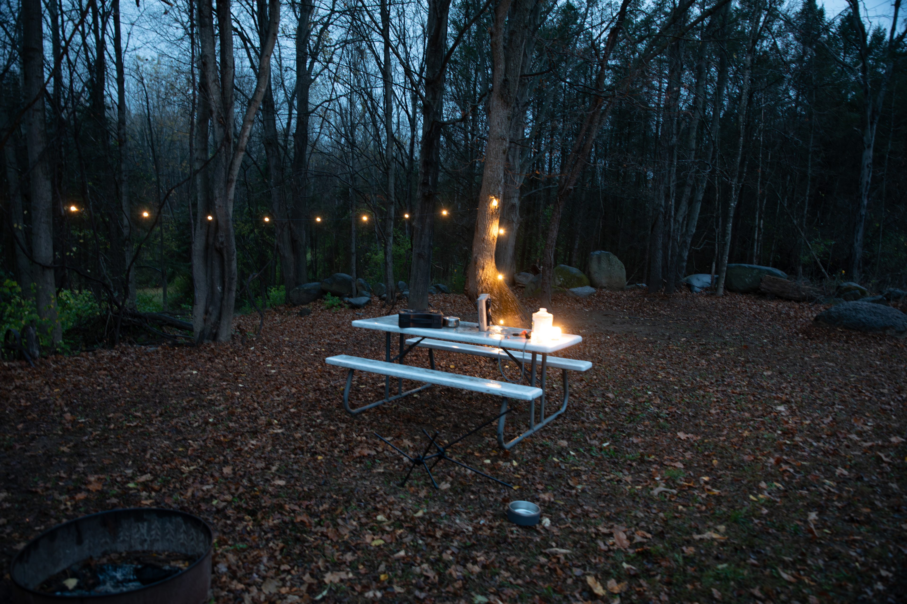 Spring lake retreat on the farm