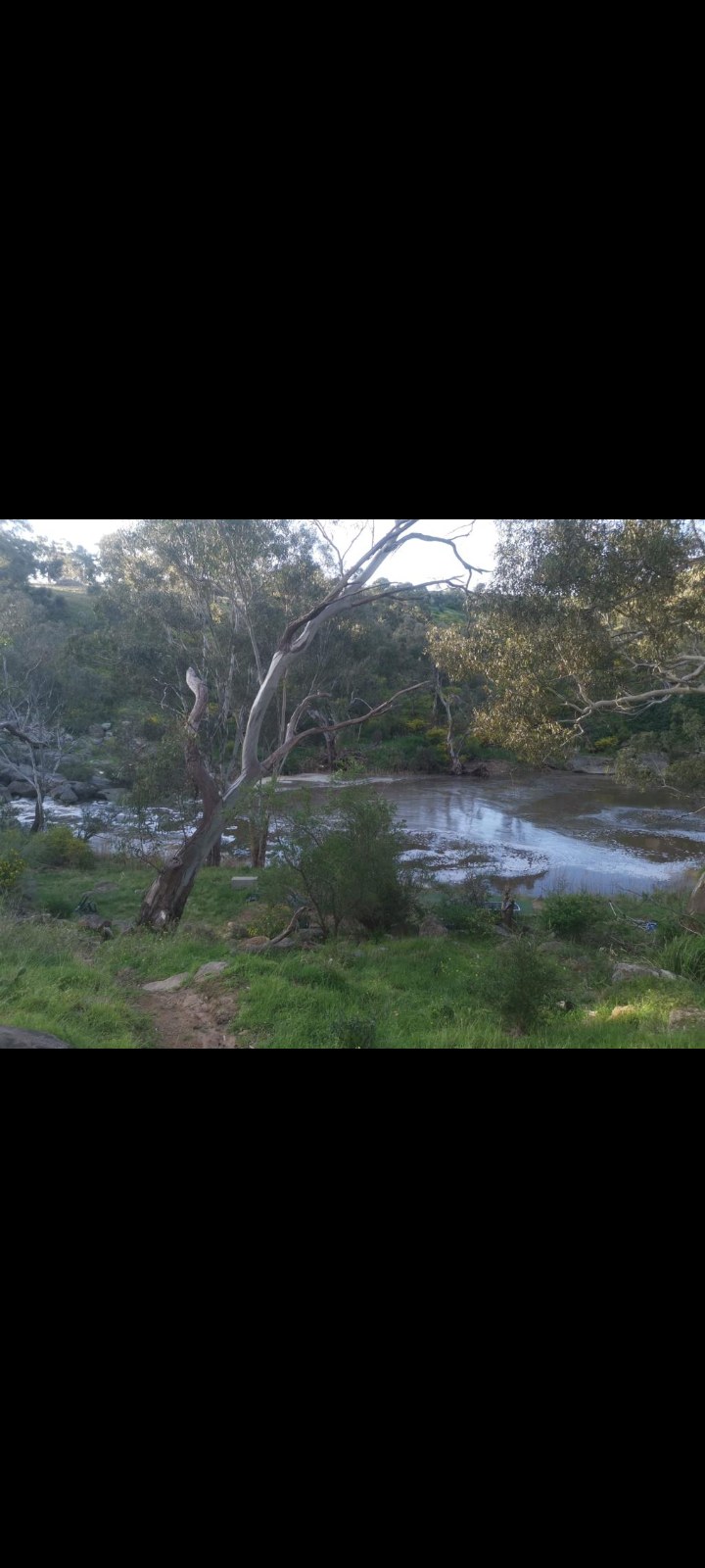 Boulder Brook Valley